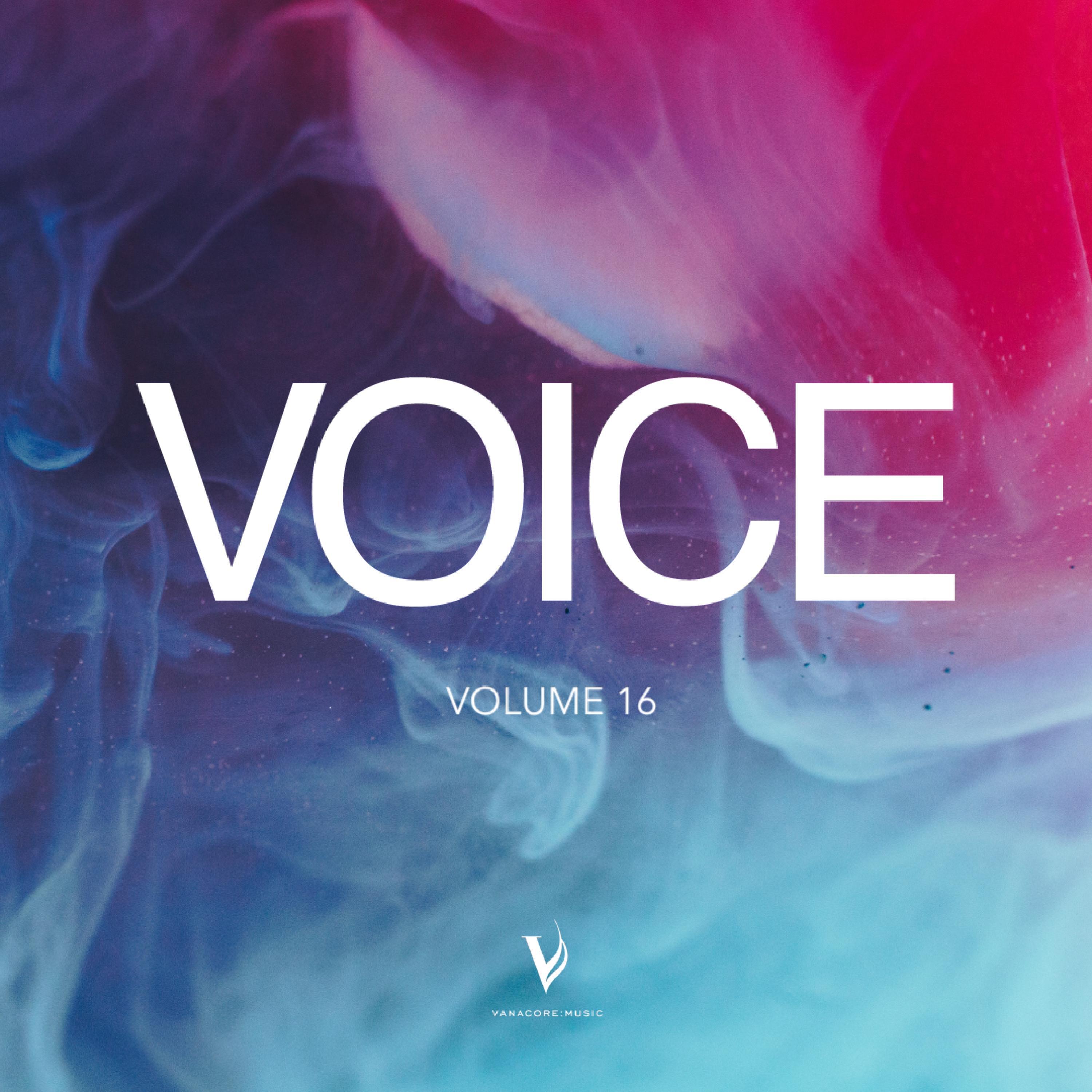 Релиз Voice, Vol. 16