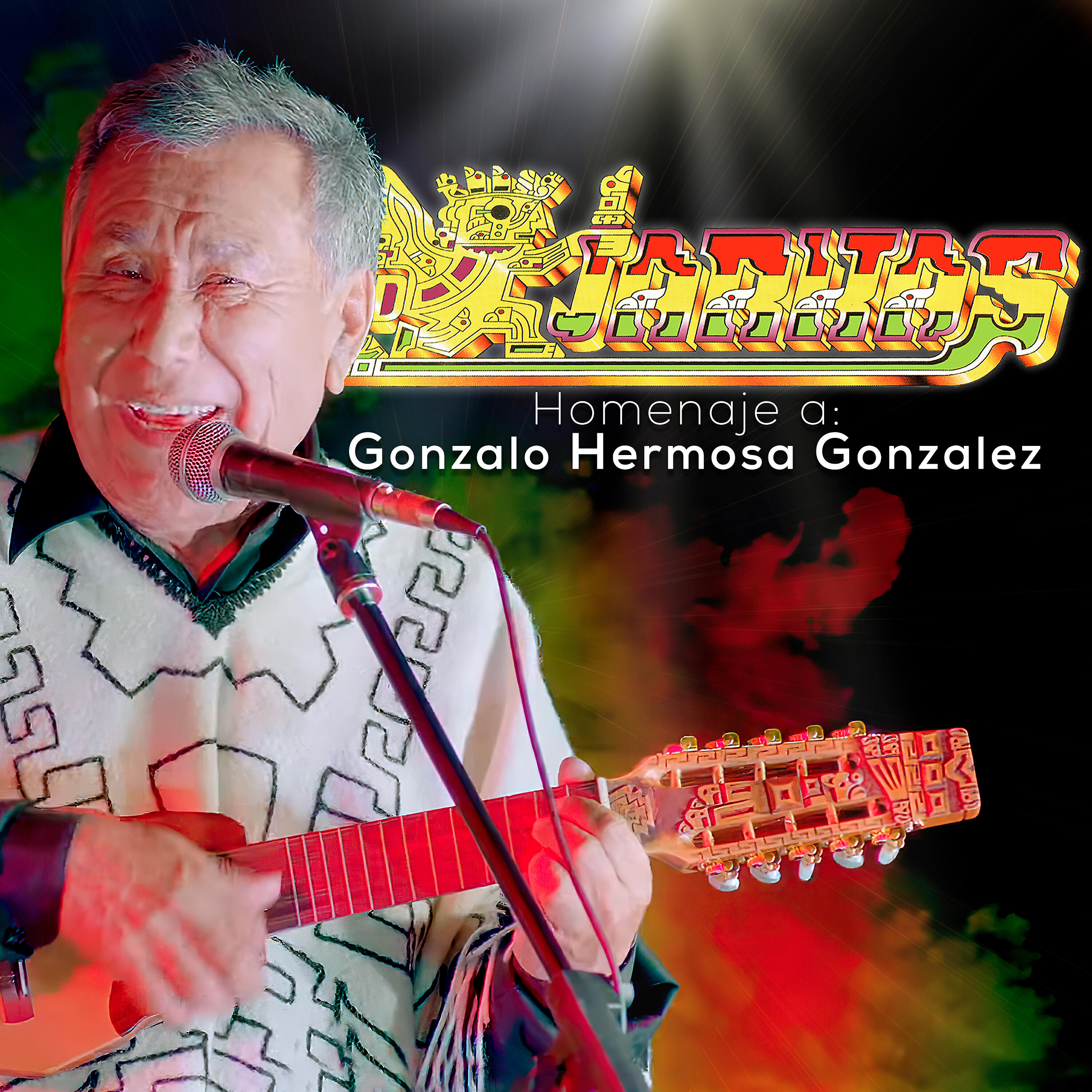 Релиз Homenaje a Gonzalo Hermosa Gonzalez