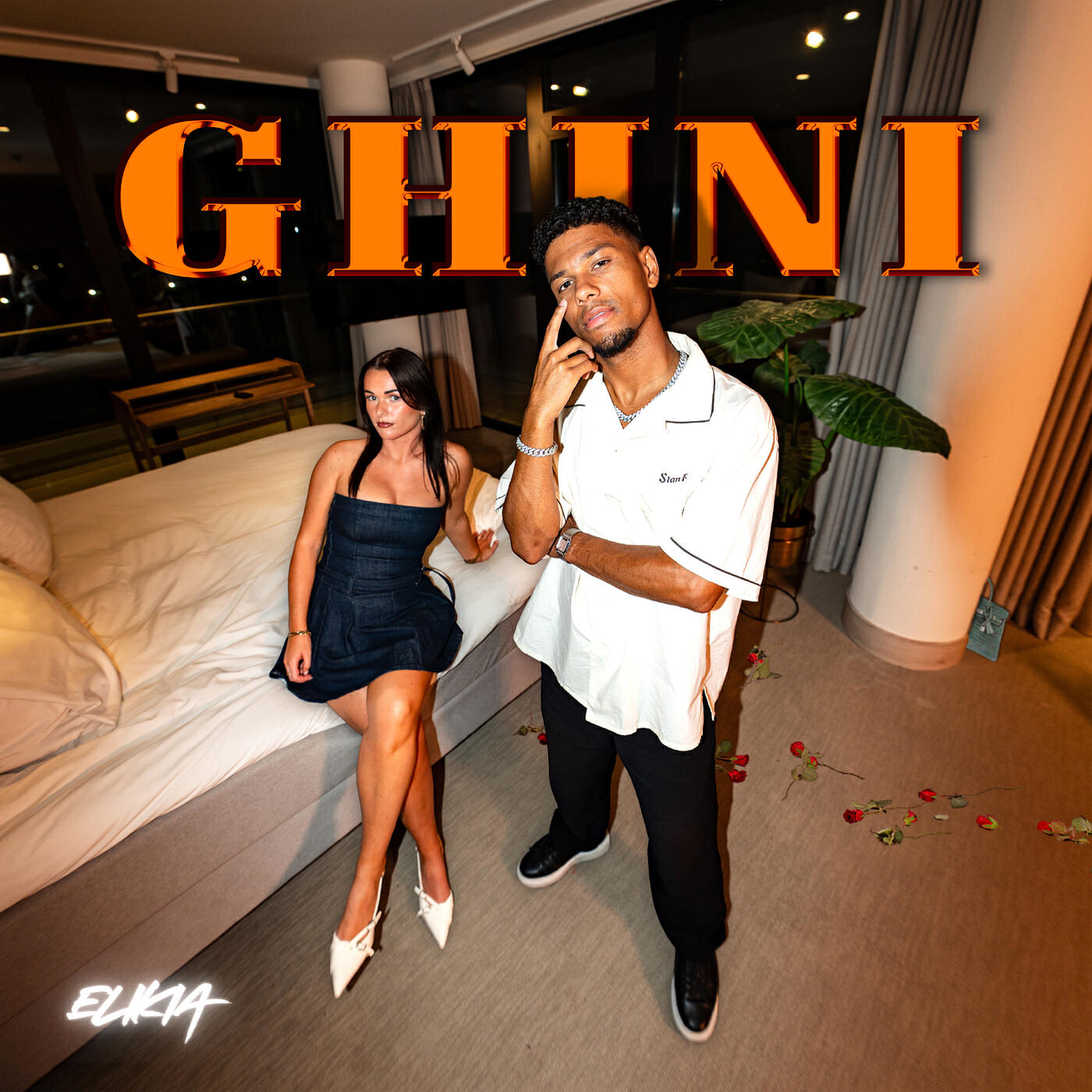 Релиз Ghini
