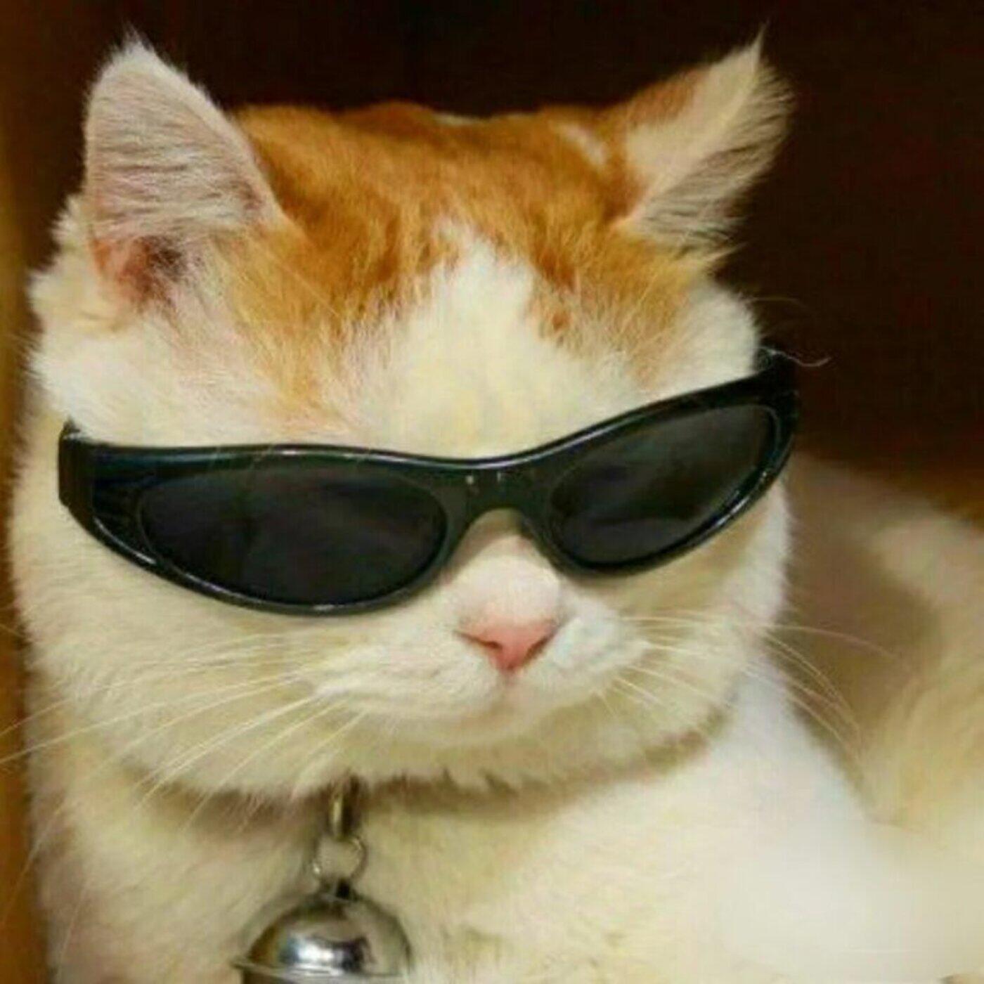 Релиз Блинки