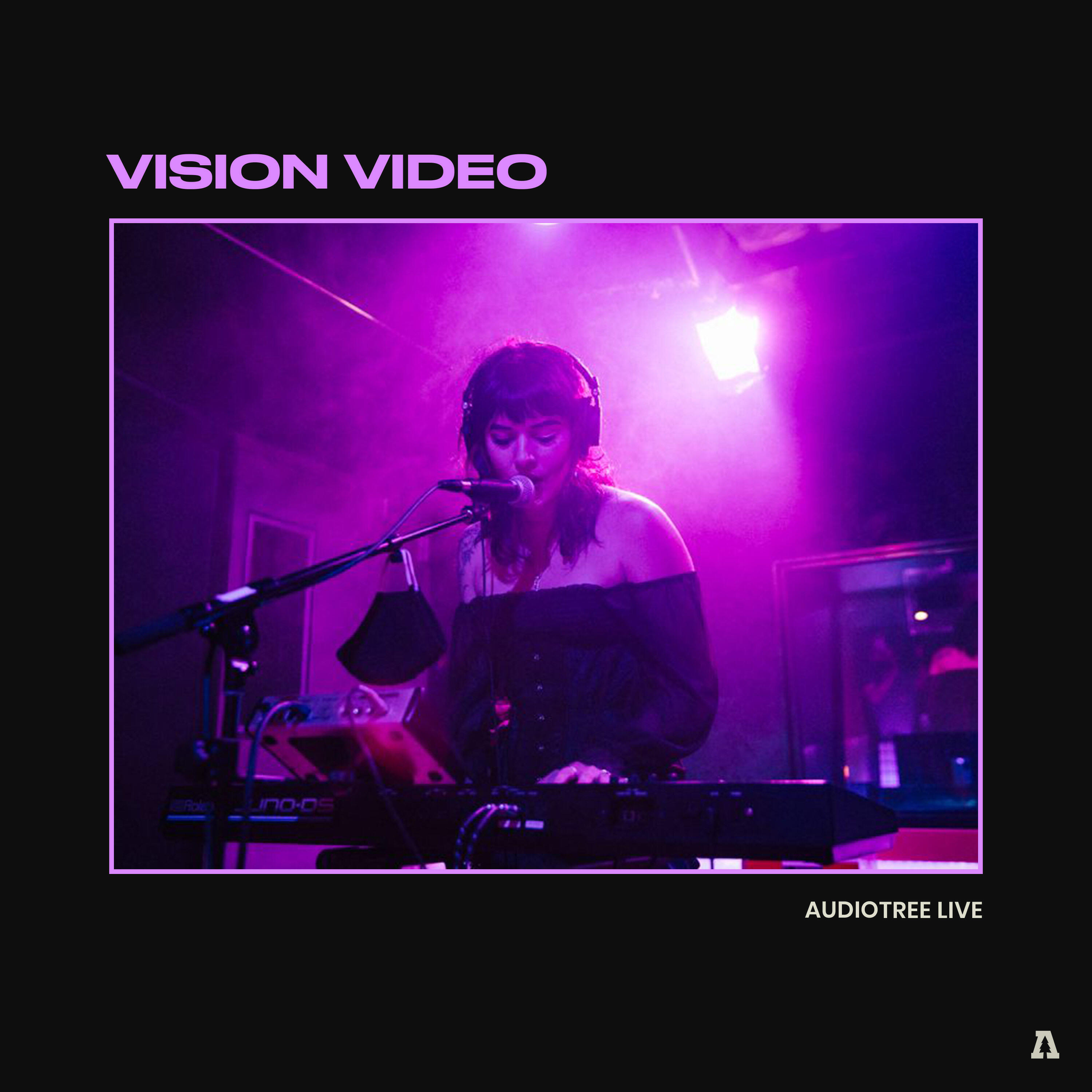 Релиз Vision Video on Audiotree Live