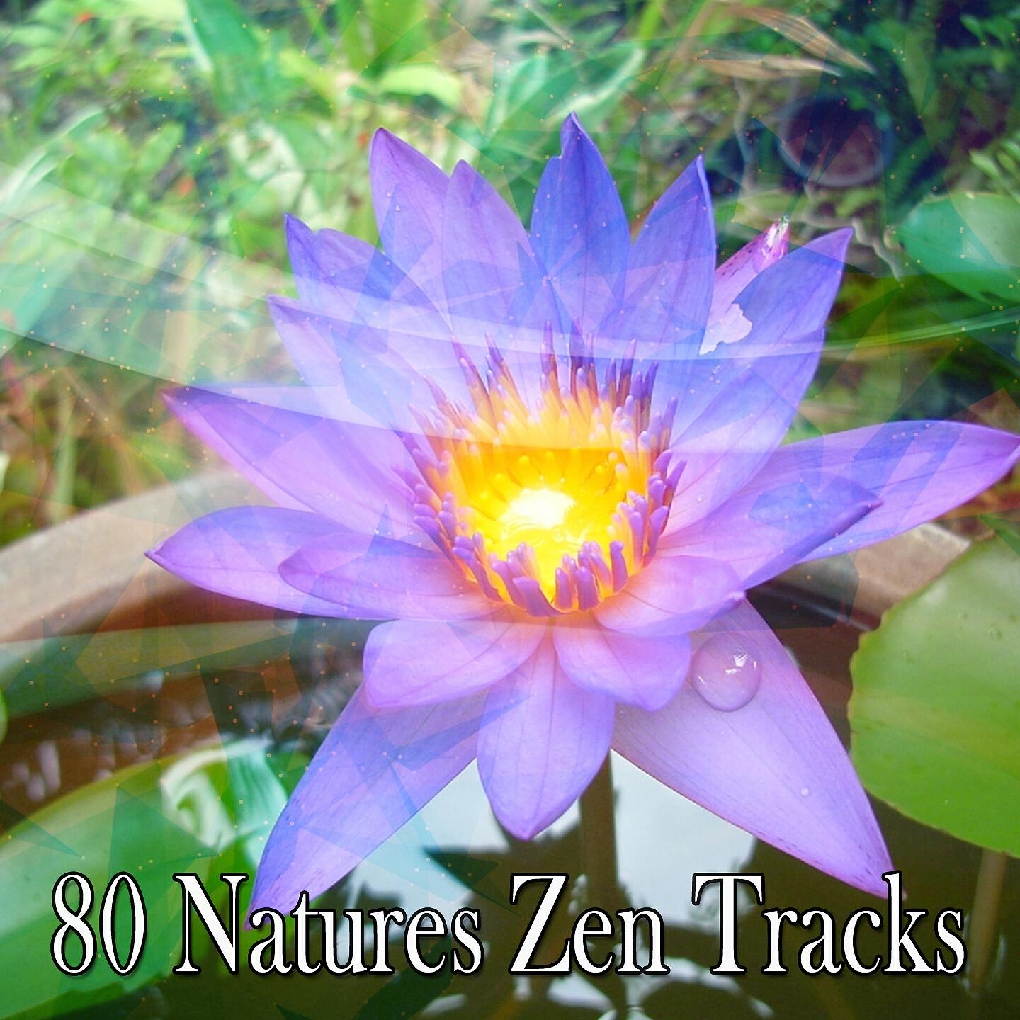 Релиз 80 Natures Zen Tracks
