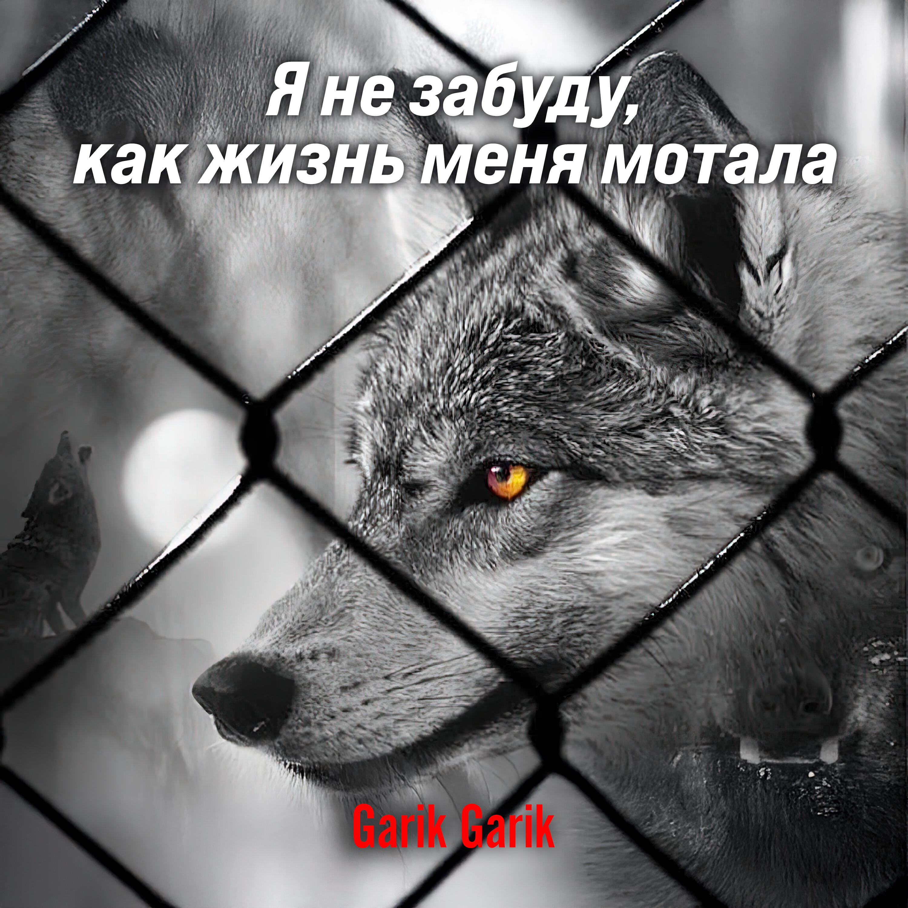 Релиз Я не забуду, как жизнь меня мотала