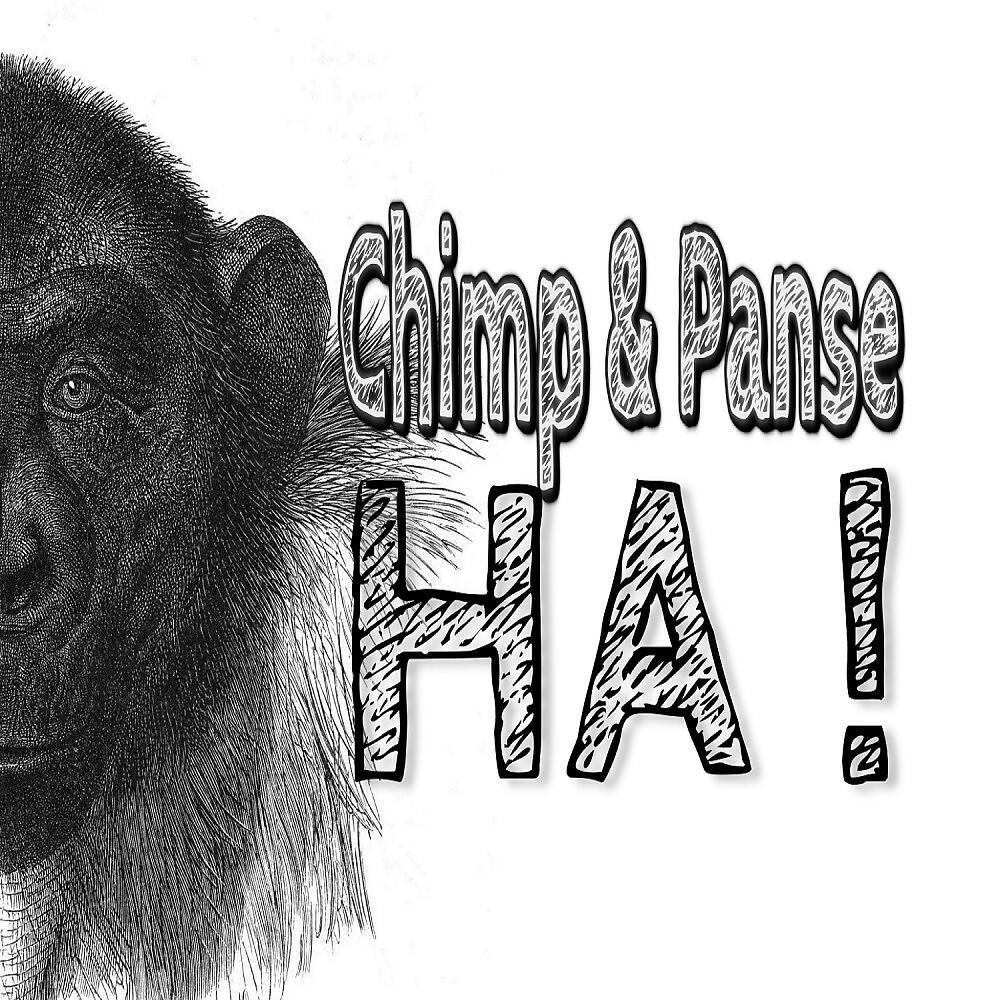 Chimp & Panse