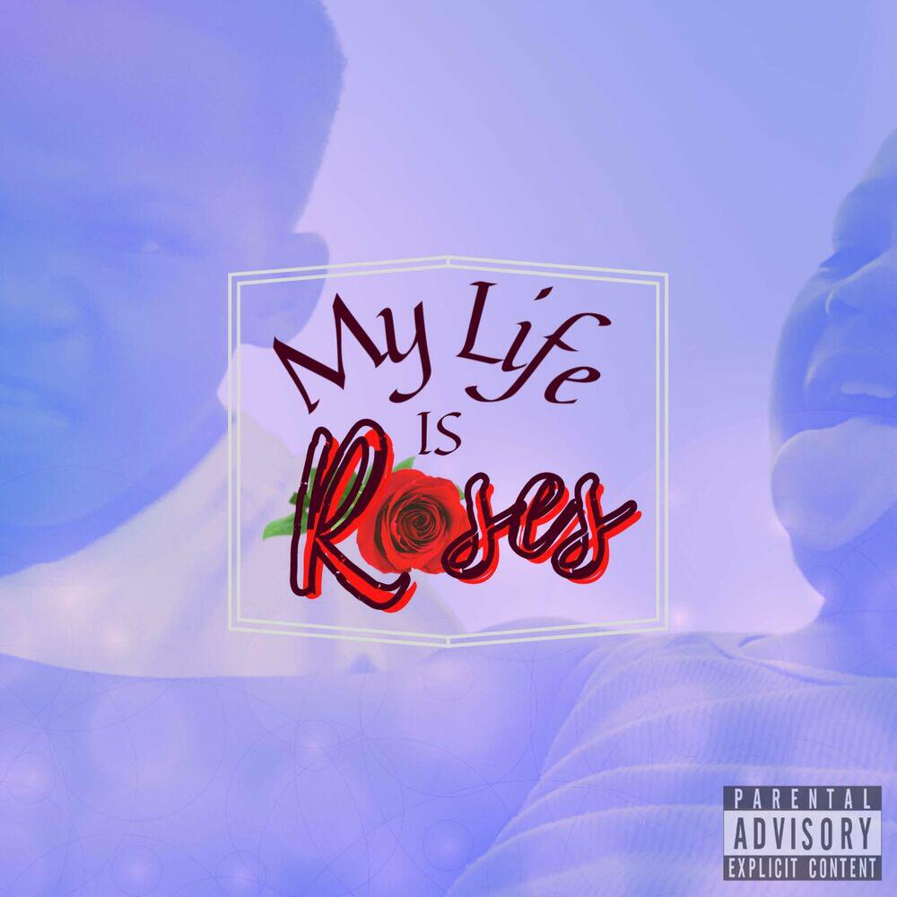 TBMG Rose