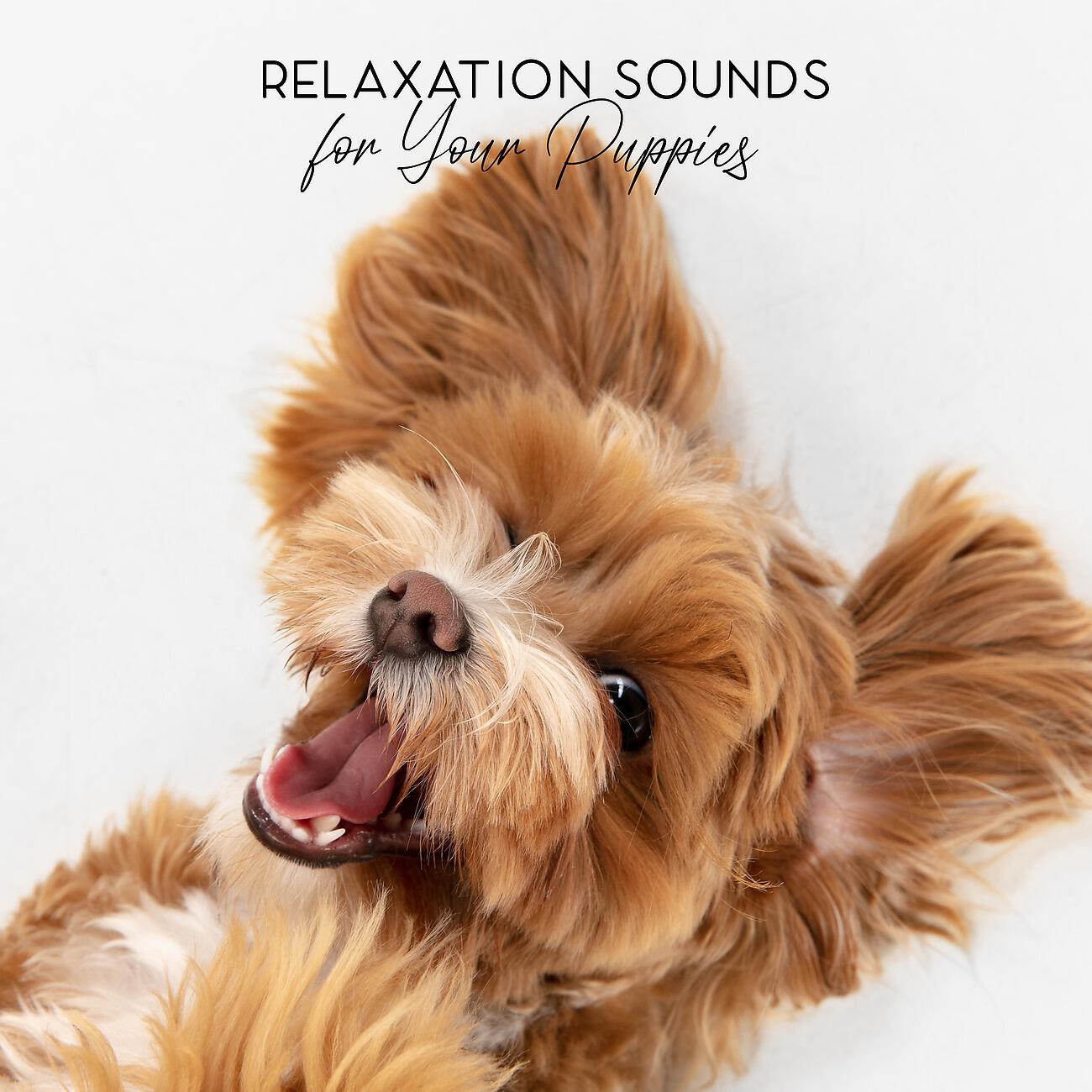 Релиз Relaxation Sounds for Your Puppies