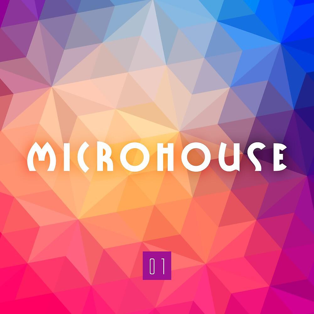Релиз Microhouse 01