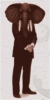 The Stomping Academy