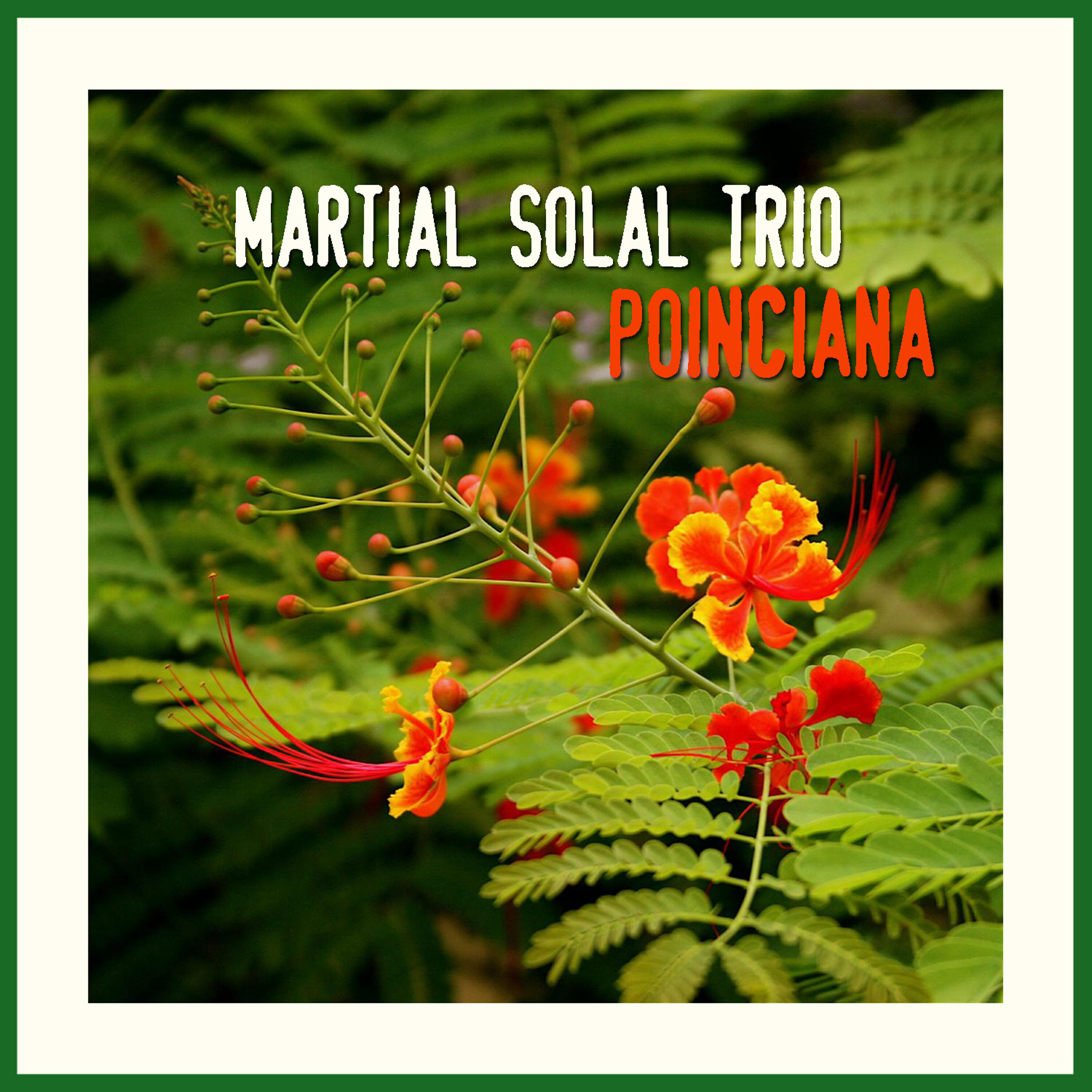 Релиз Poinciana