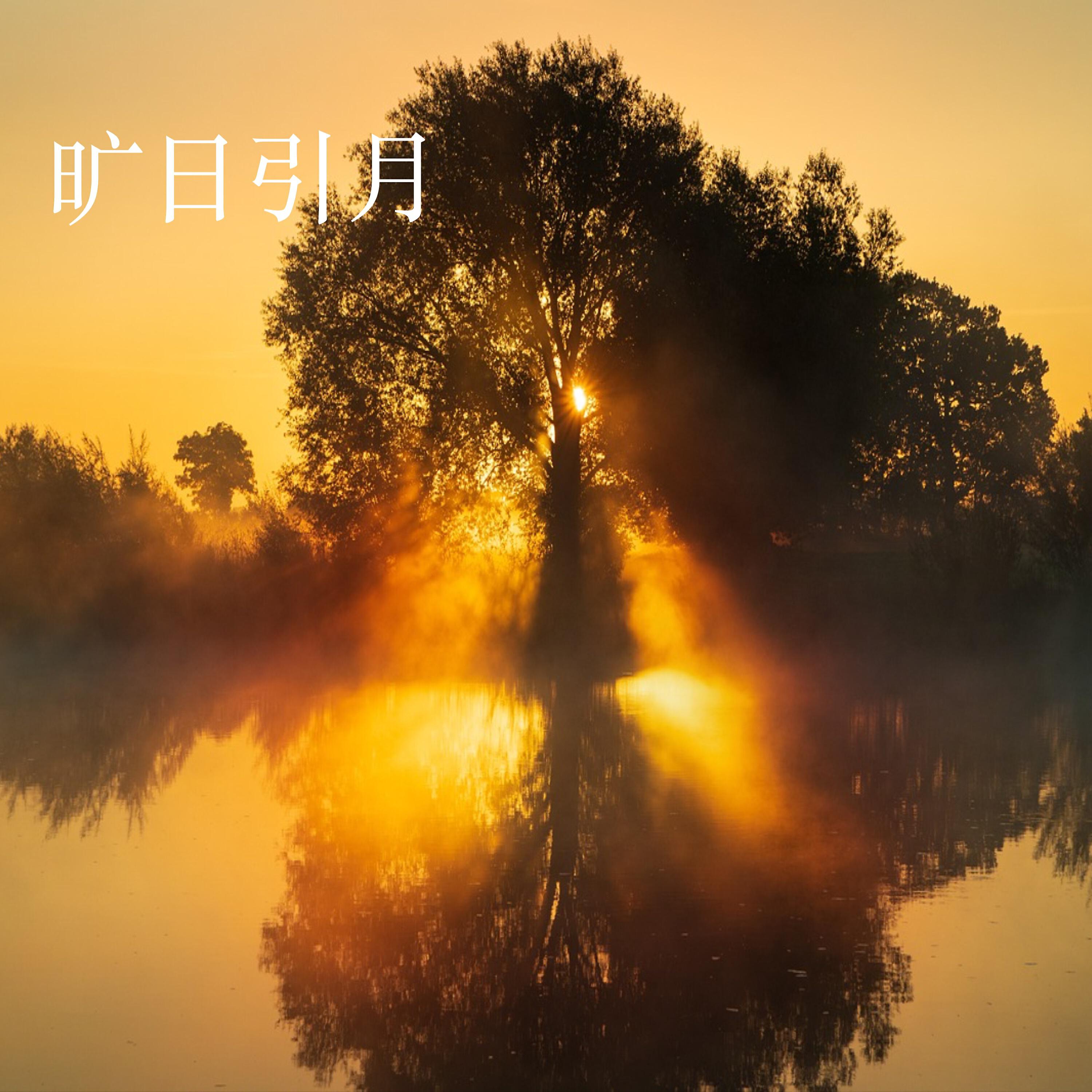 杨苑