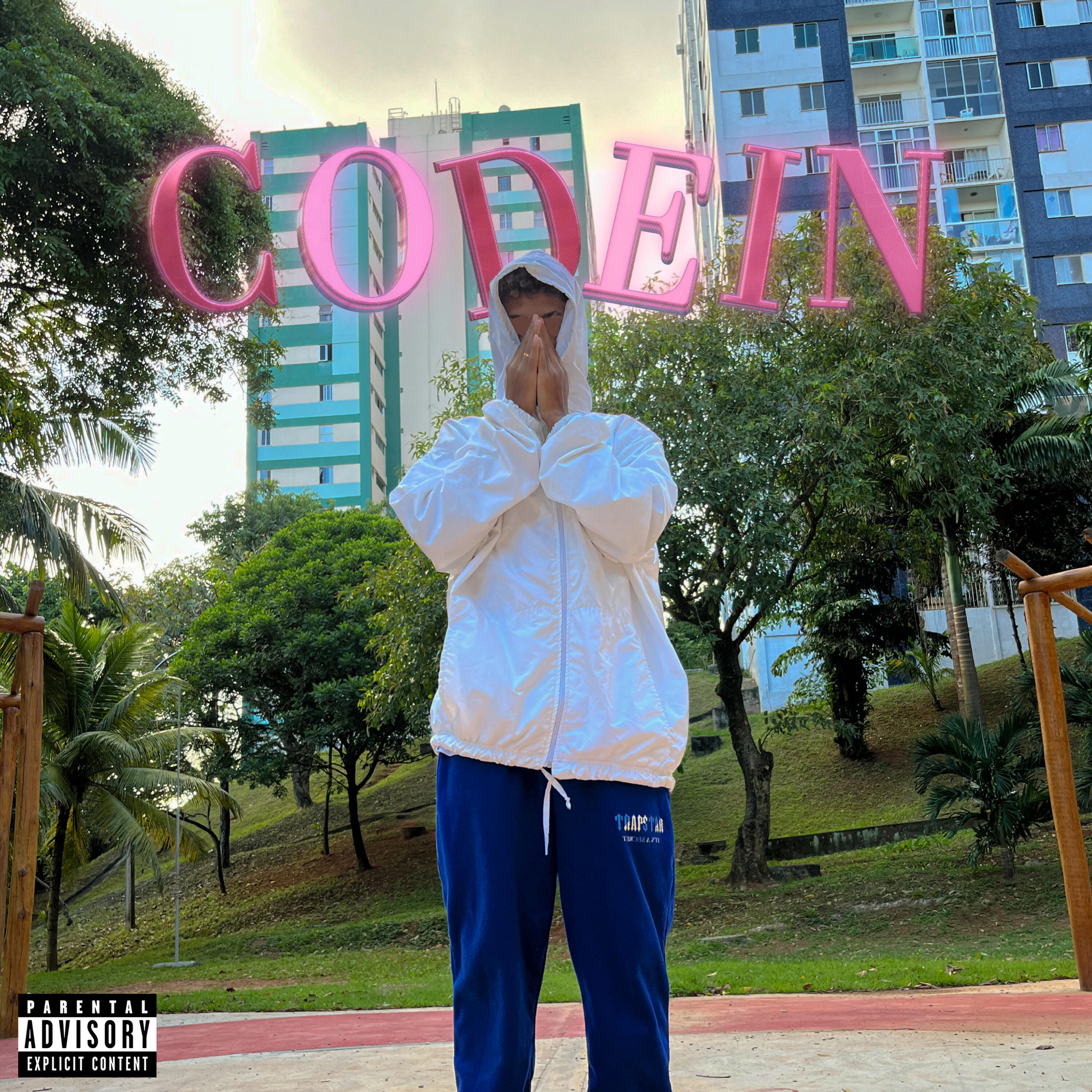 Релиз Codein