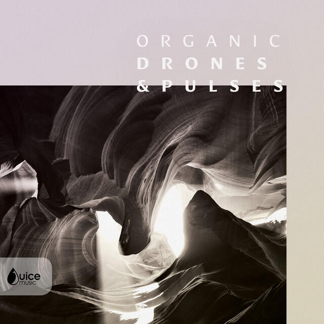 Релиз Organic Pulses & Drones