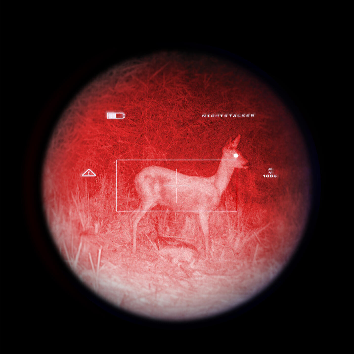 Релиз Nightstalker
