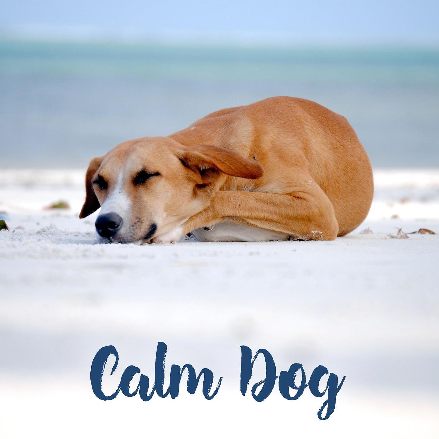 Instrumental Dog Music