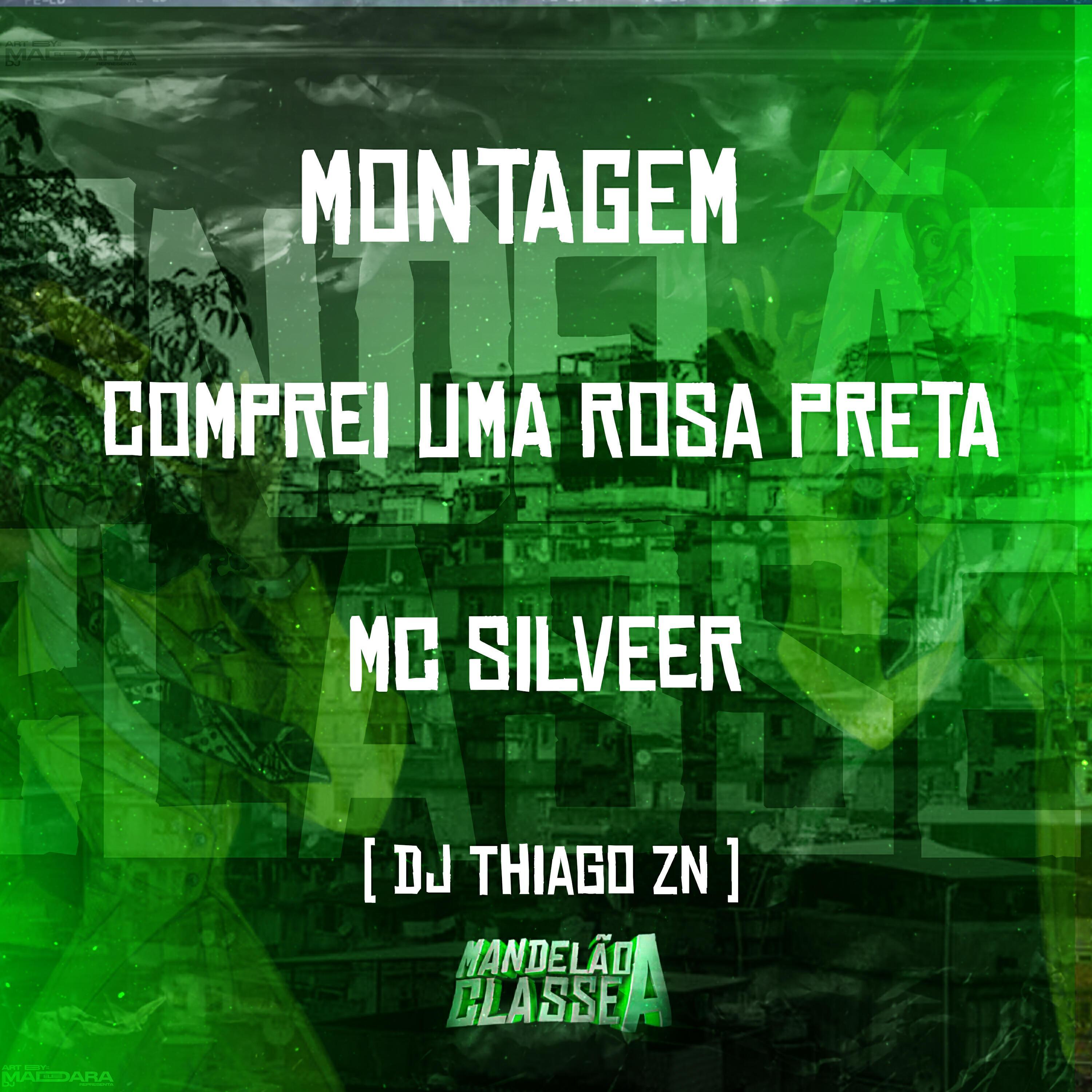 DJ THIAGO ZN все песни в mp3