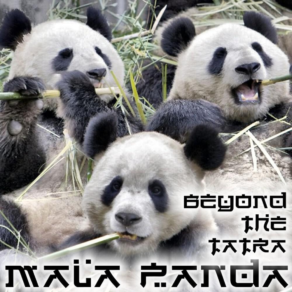 Релиз Beyond the Tatra