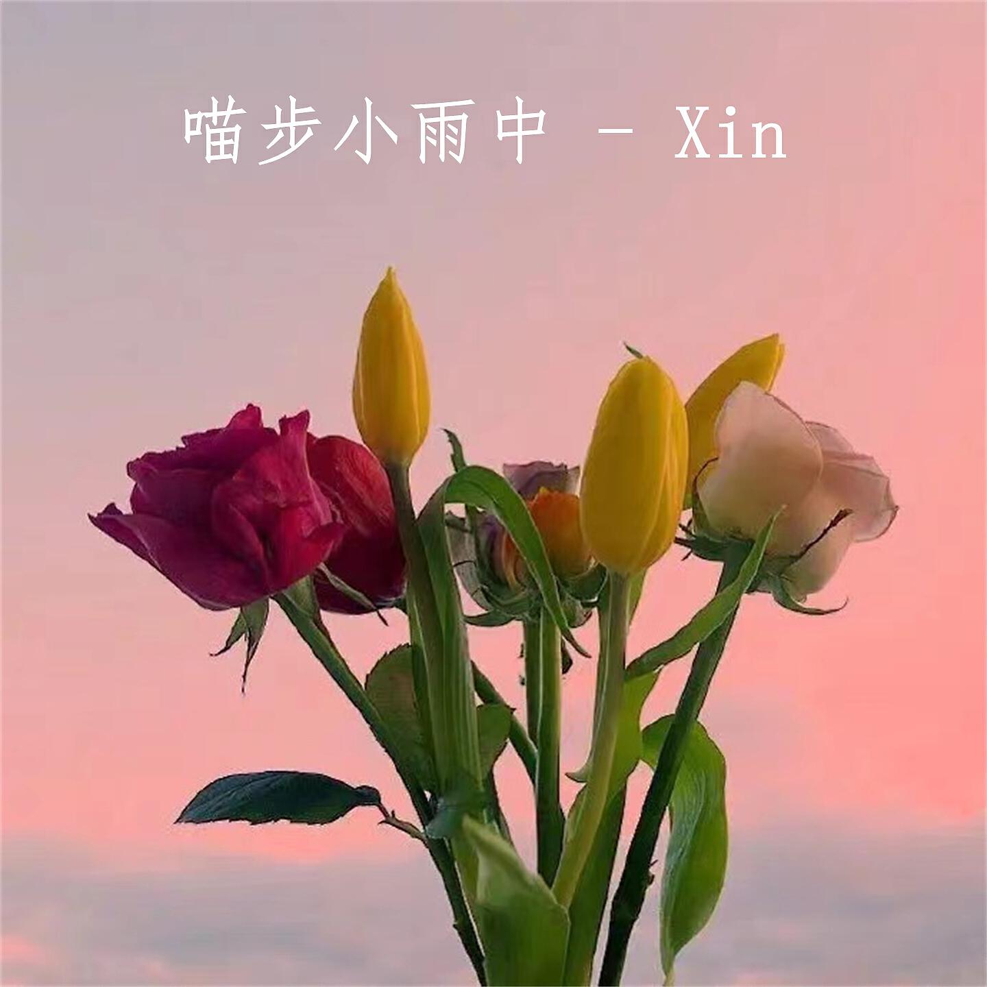 Релиз Xin