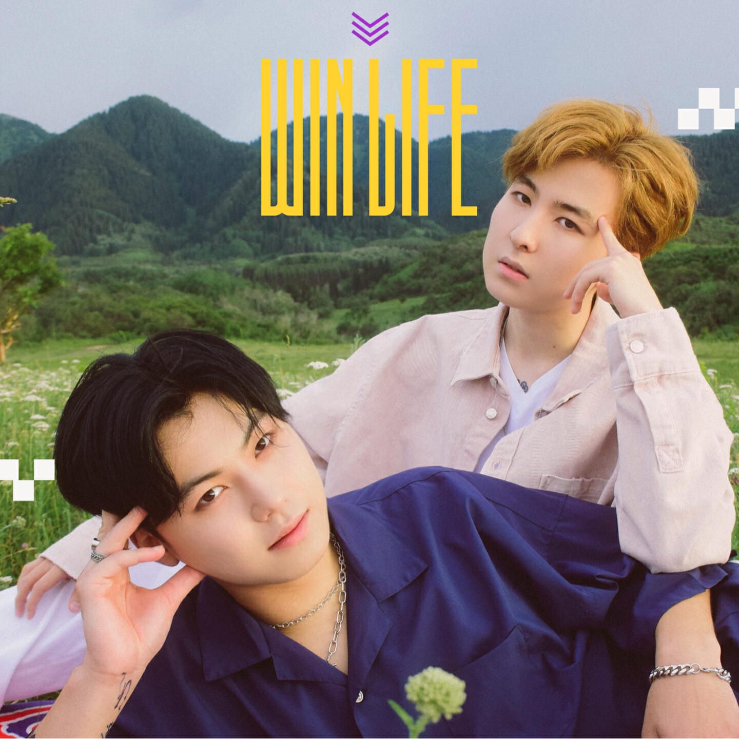 Релиз Win Life