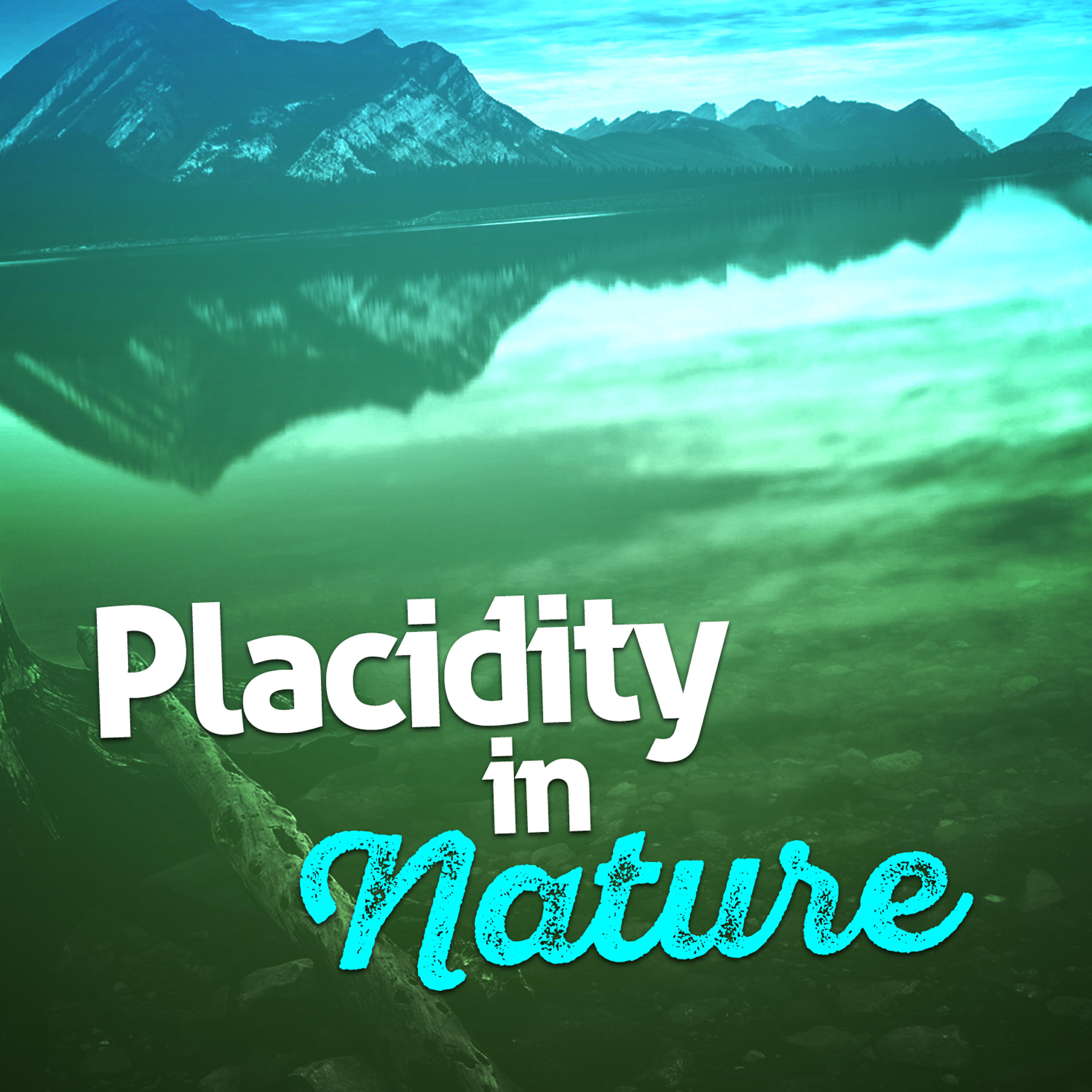 Релиз Placidity in Nature