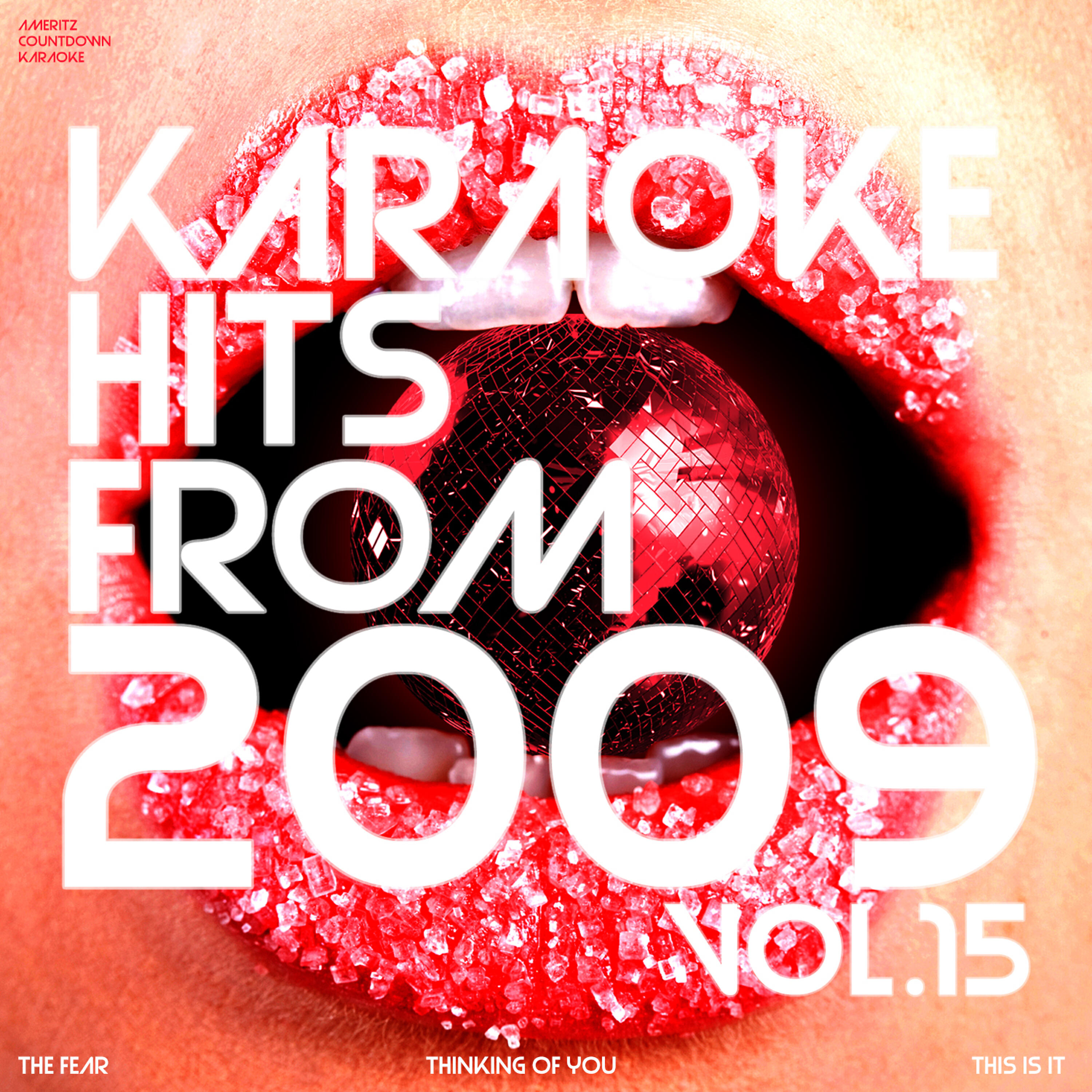 Релиз Karaoke Hits from 2009, Vol. 15