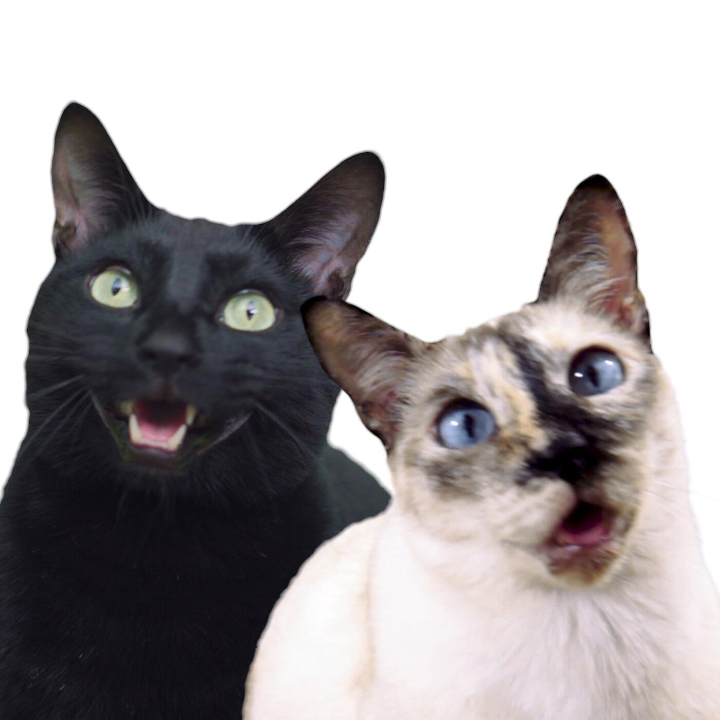 Релиз Mi Gente Cat Version