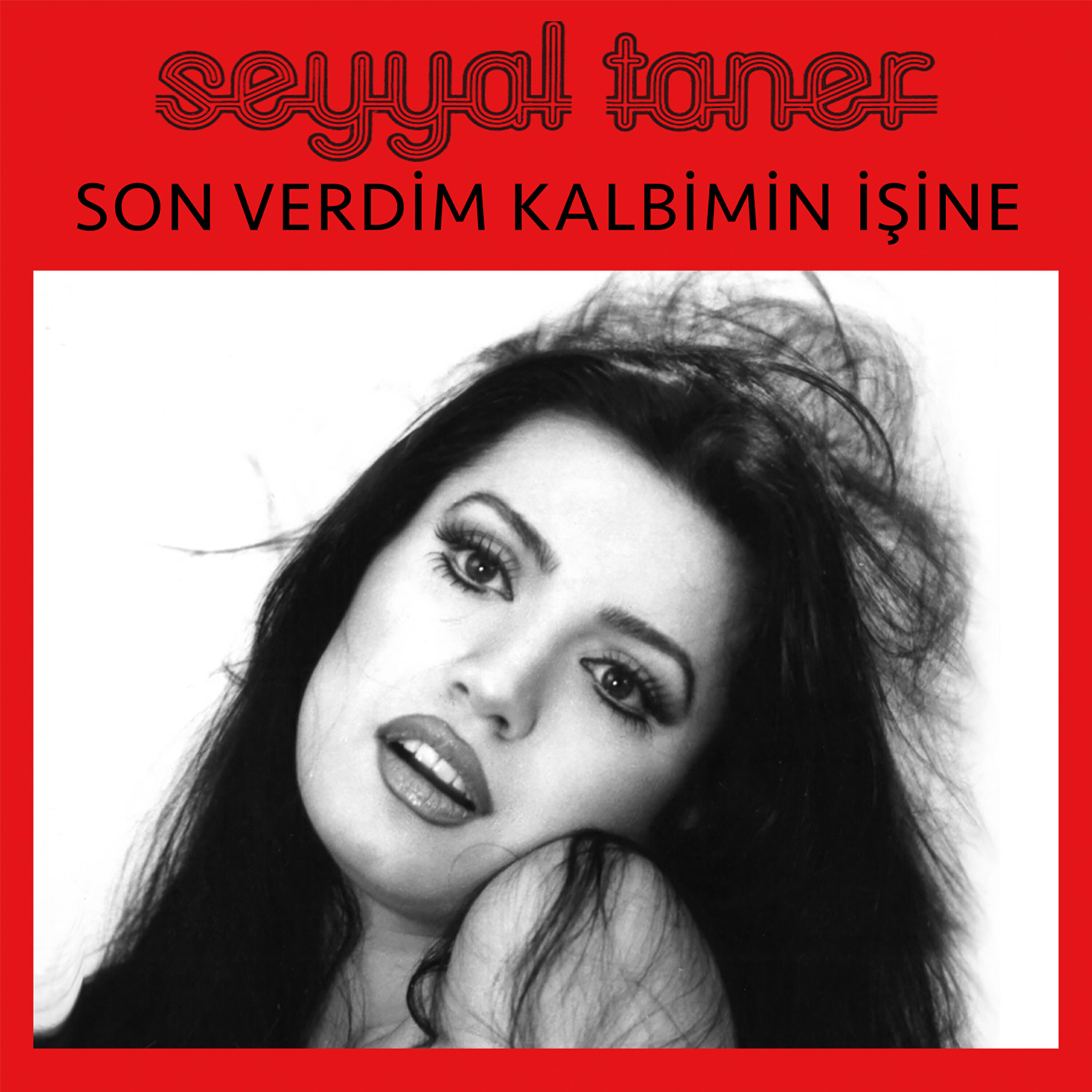 Релиз Son Verdim Kalbimin İşine