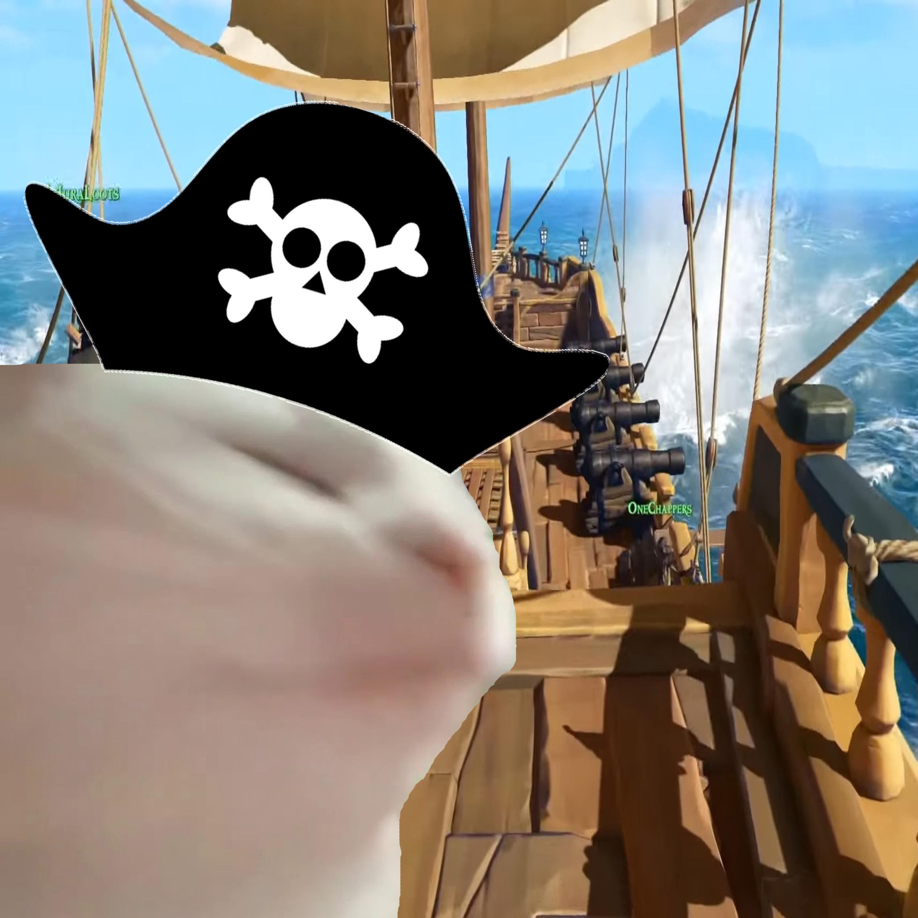 Релиз sea shanty trap