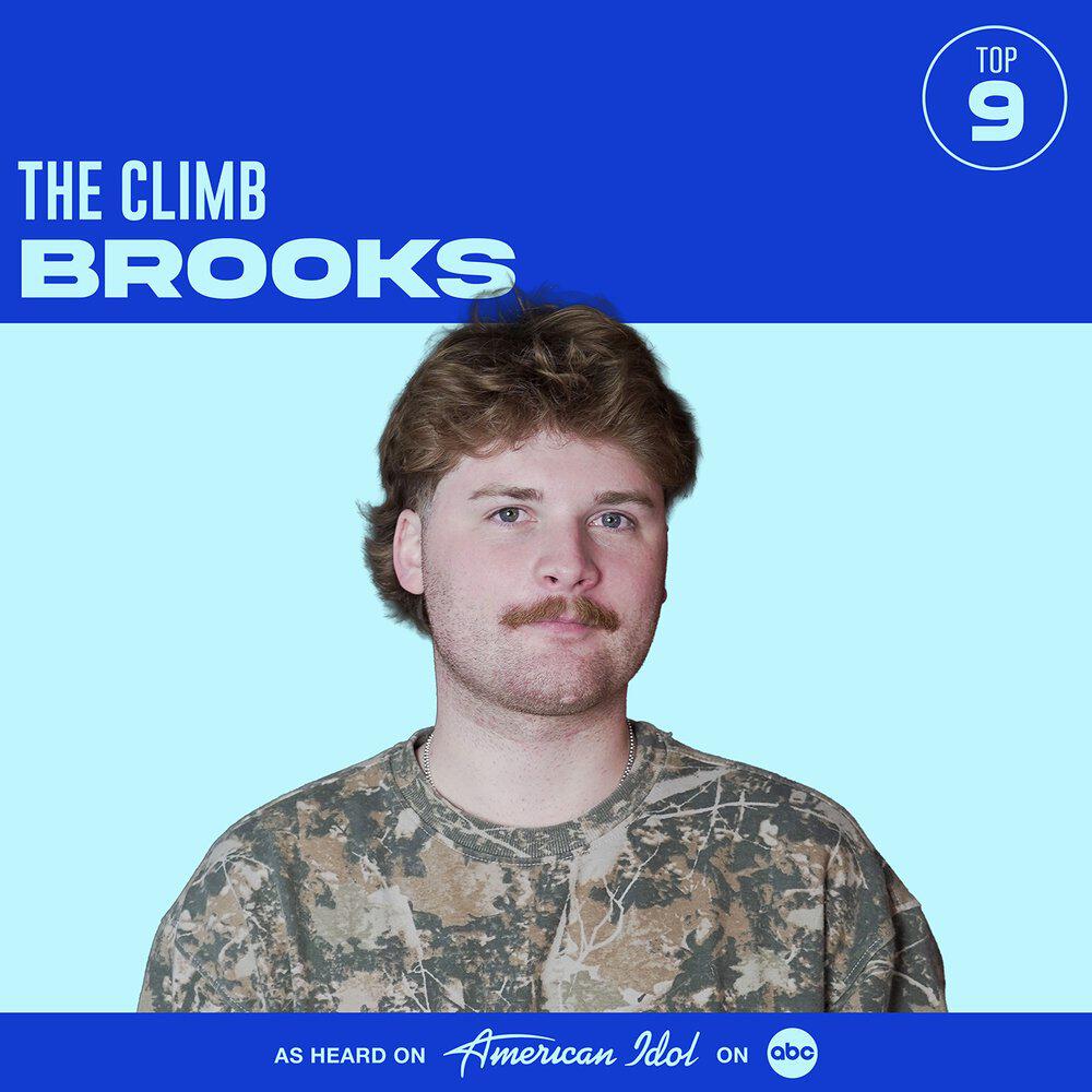 Релиз The Climb (from American Idol)