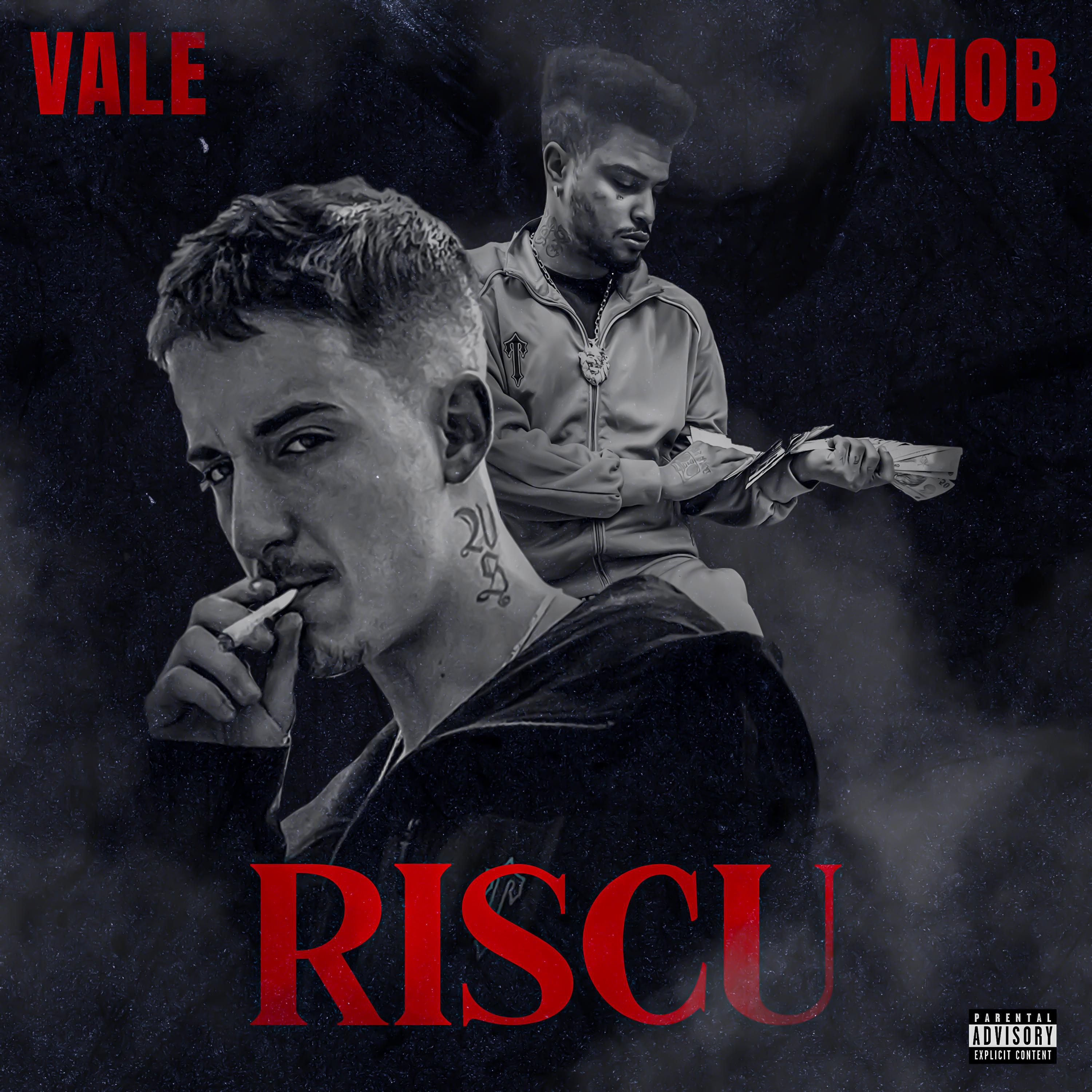 Релиз RISCU