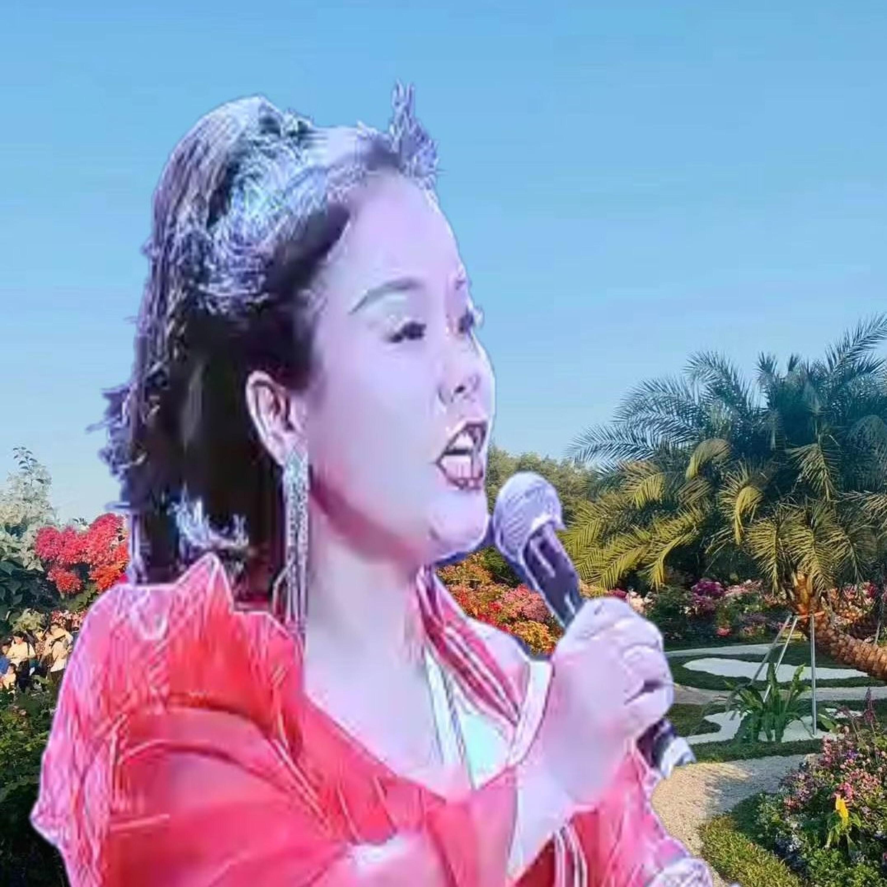Релиз 荆南忆
