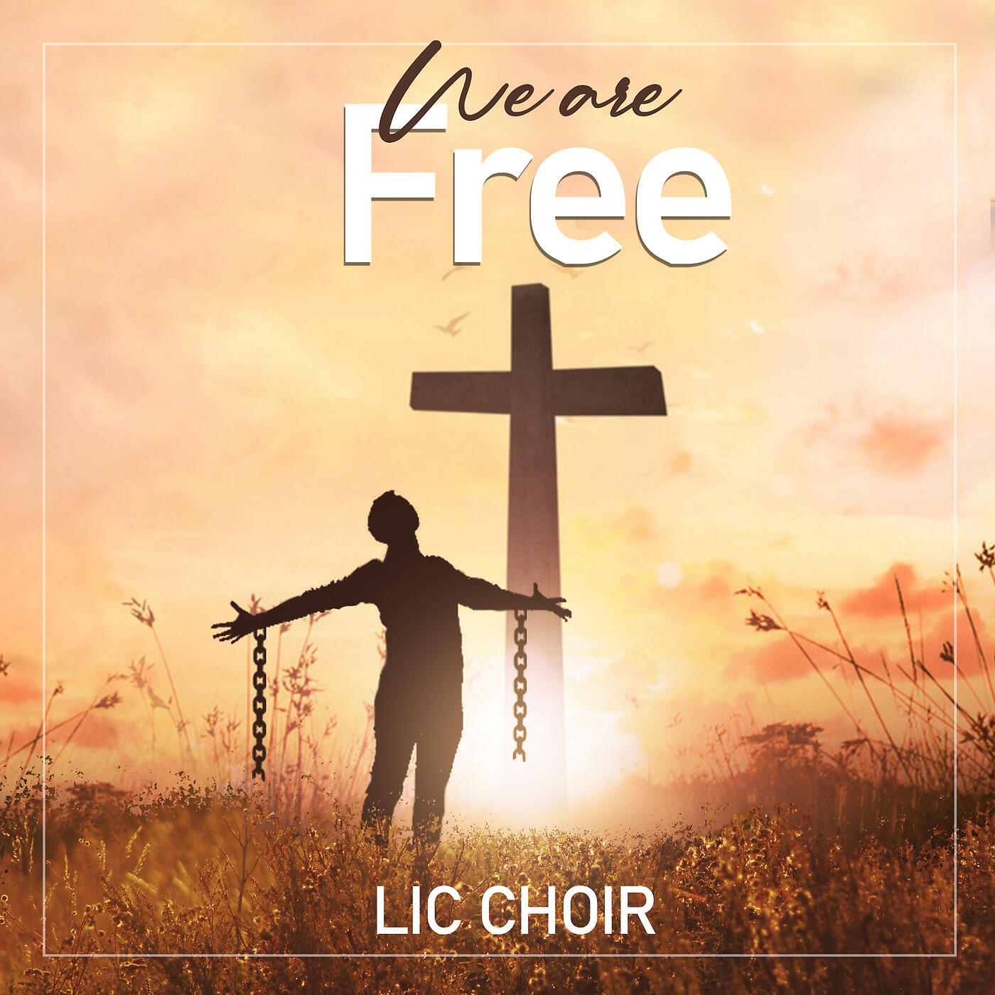 Релиз We Are Free