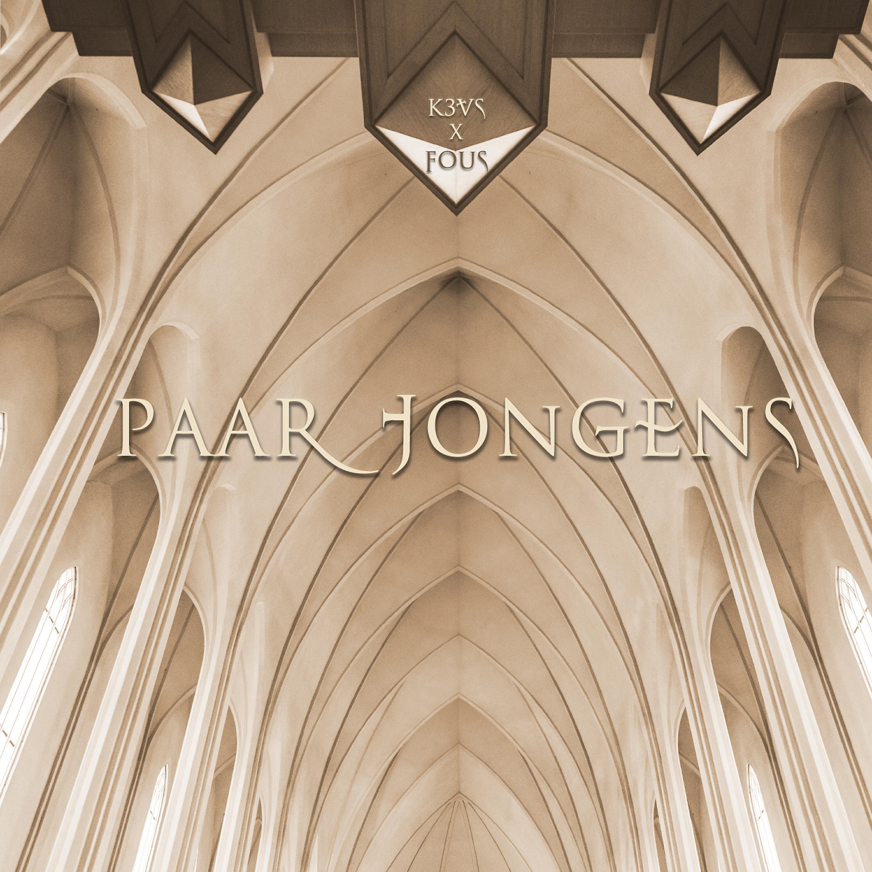Релиз Paar Jongens