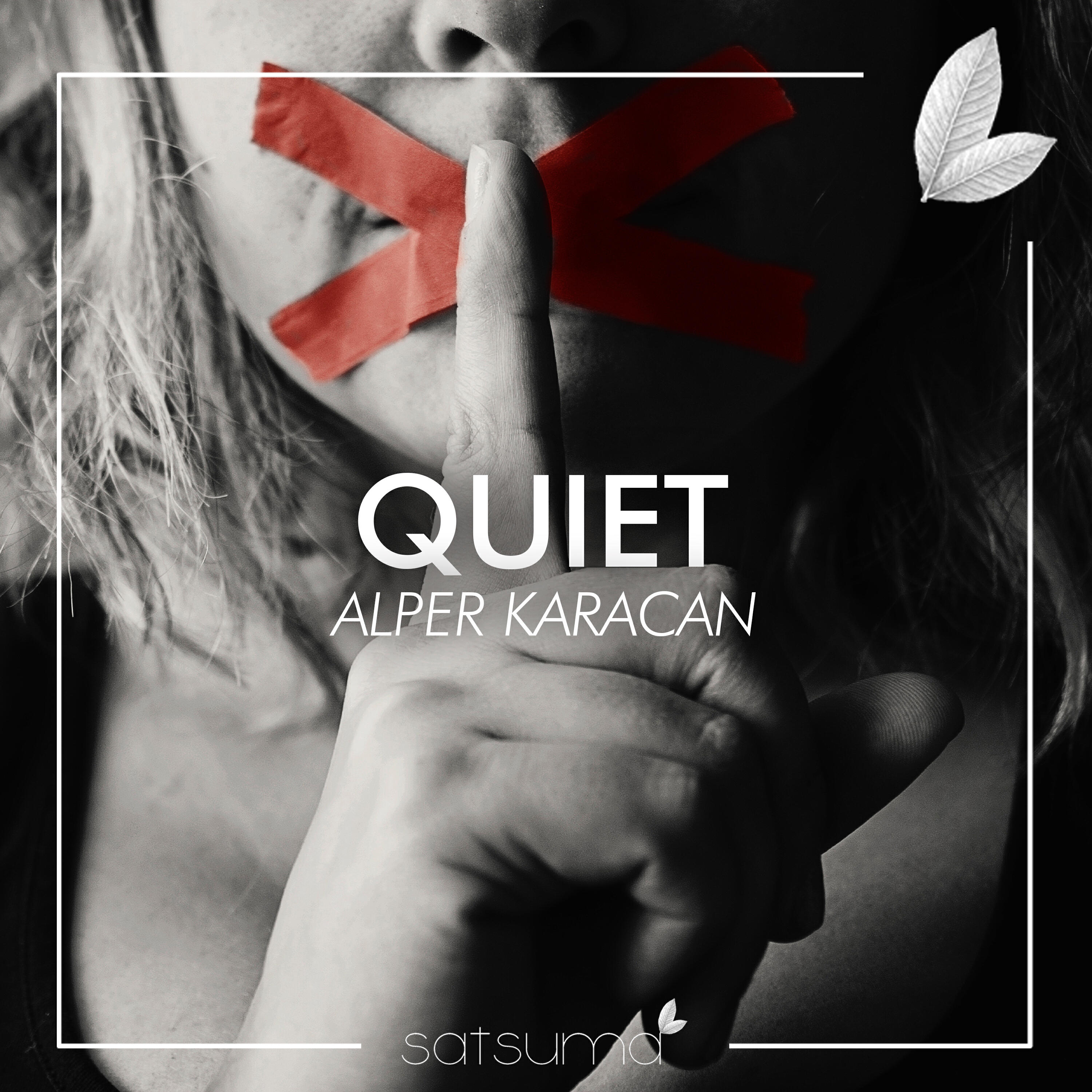 Релиз Quiet