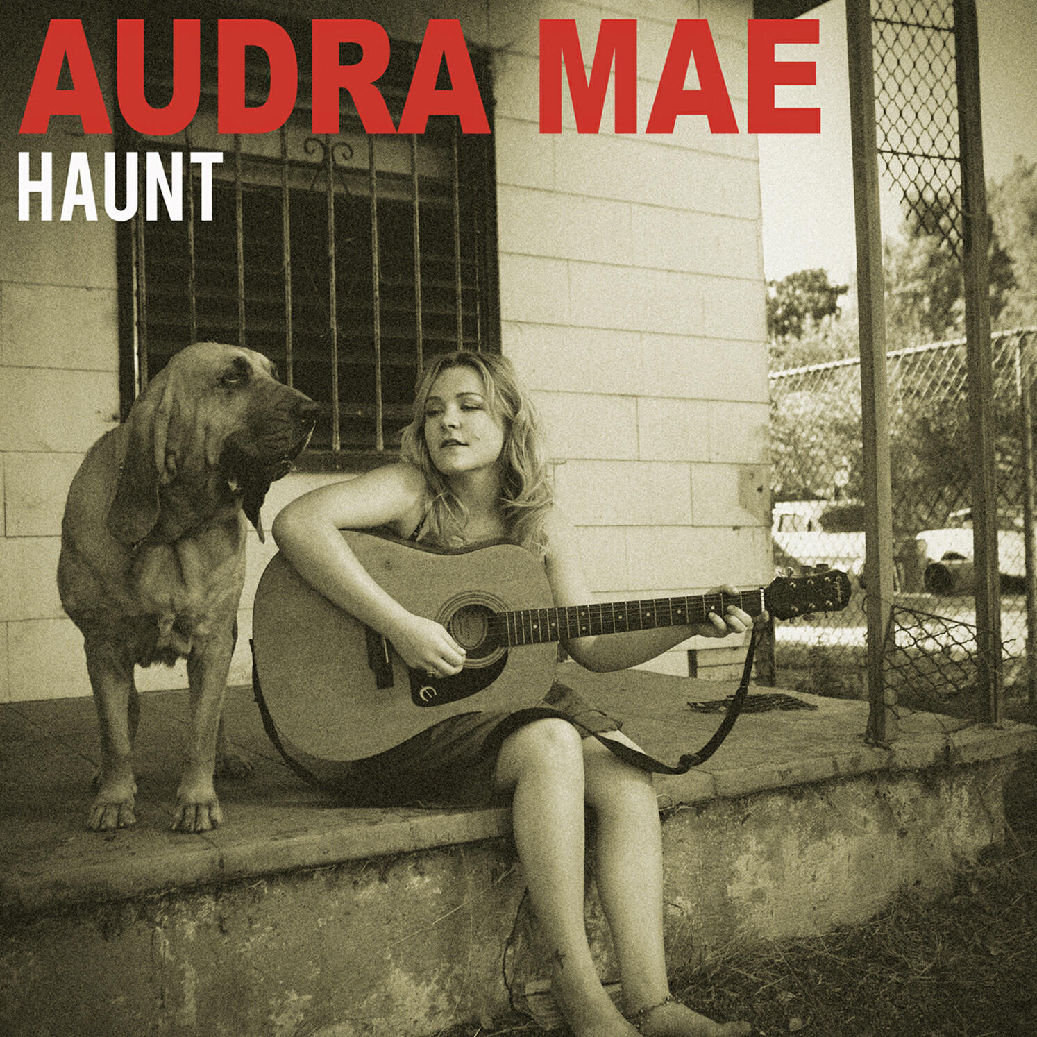Релиз Haunt