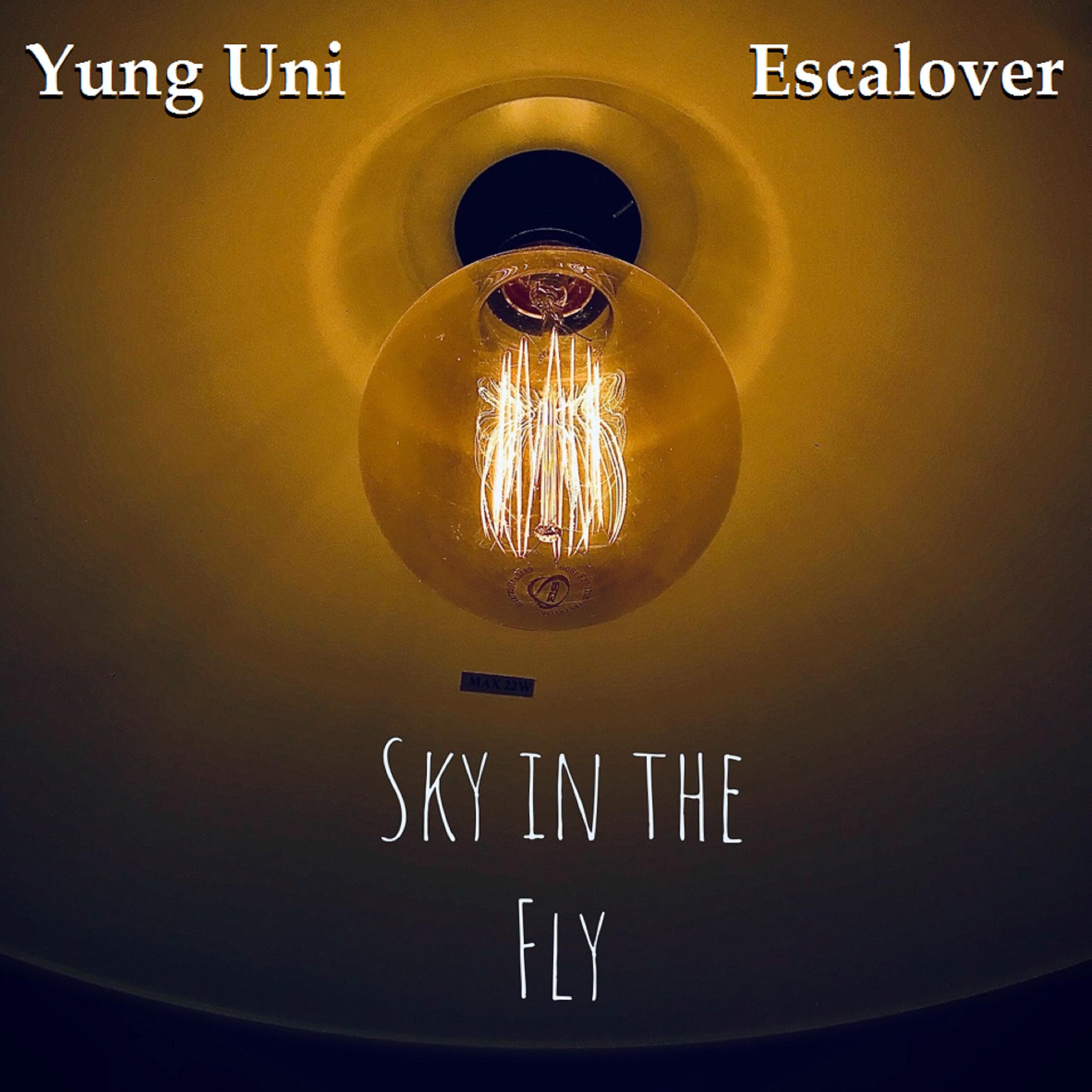Релиз Fly in the Sky