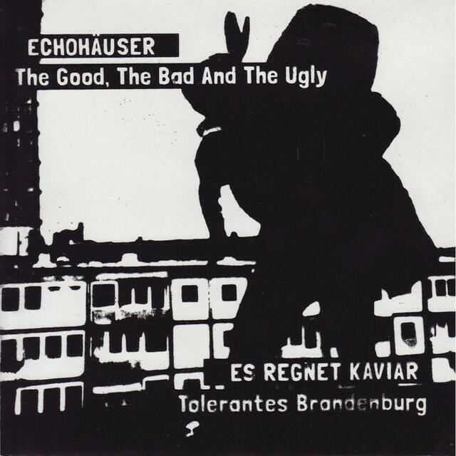 Релиз Echohäuser