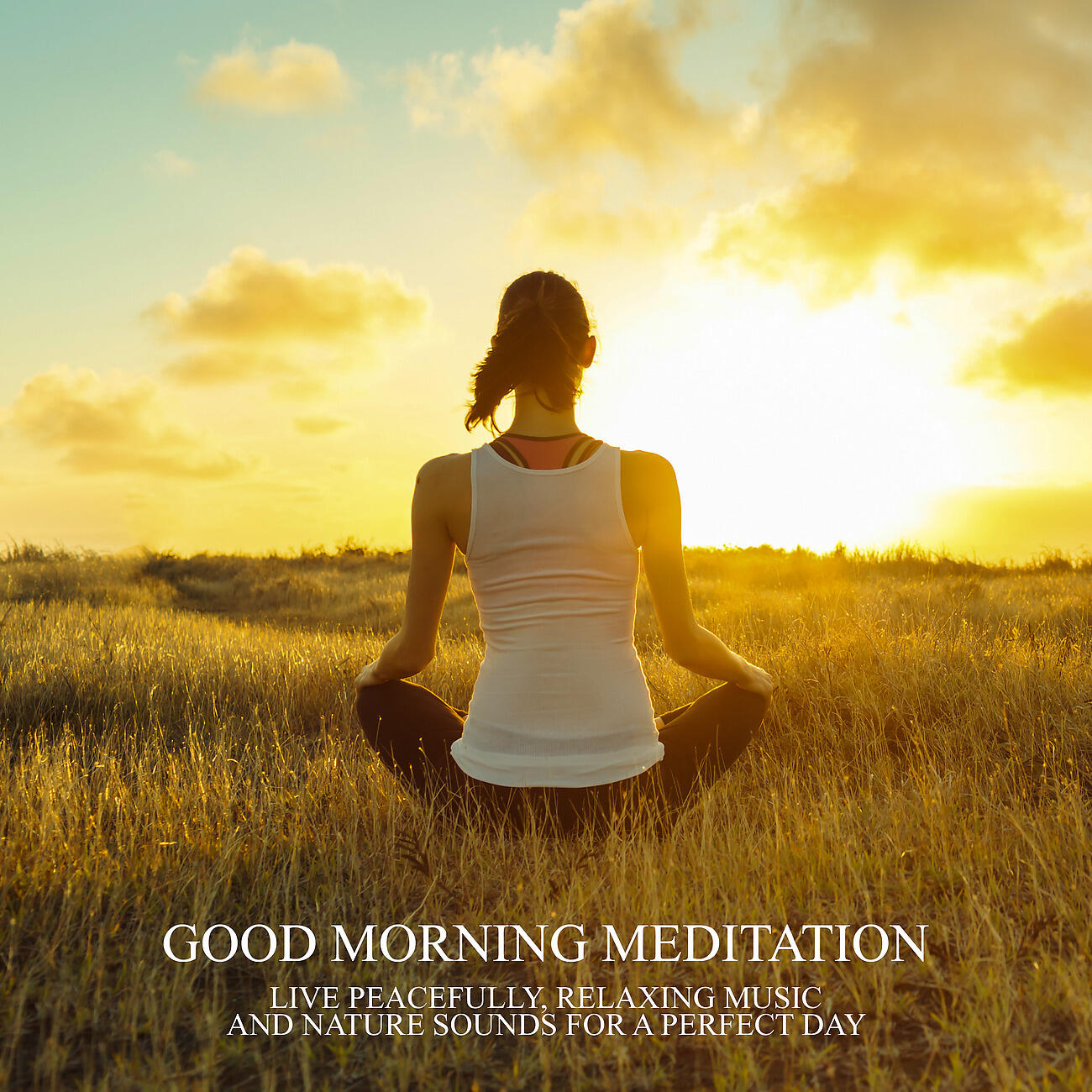 Релиз Good Morning Meditation - Live Peacefully, Relaxing Music and Nature Sounds for a Perfect Day