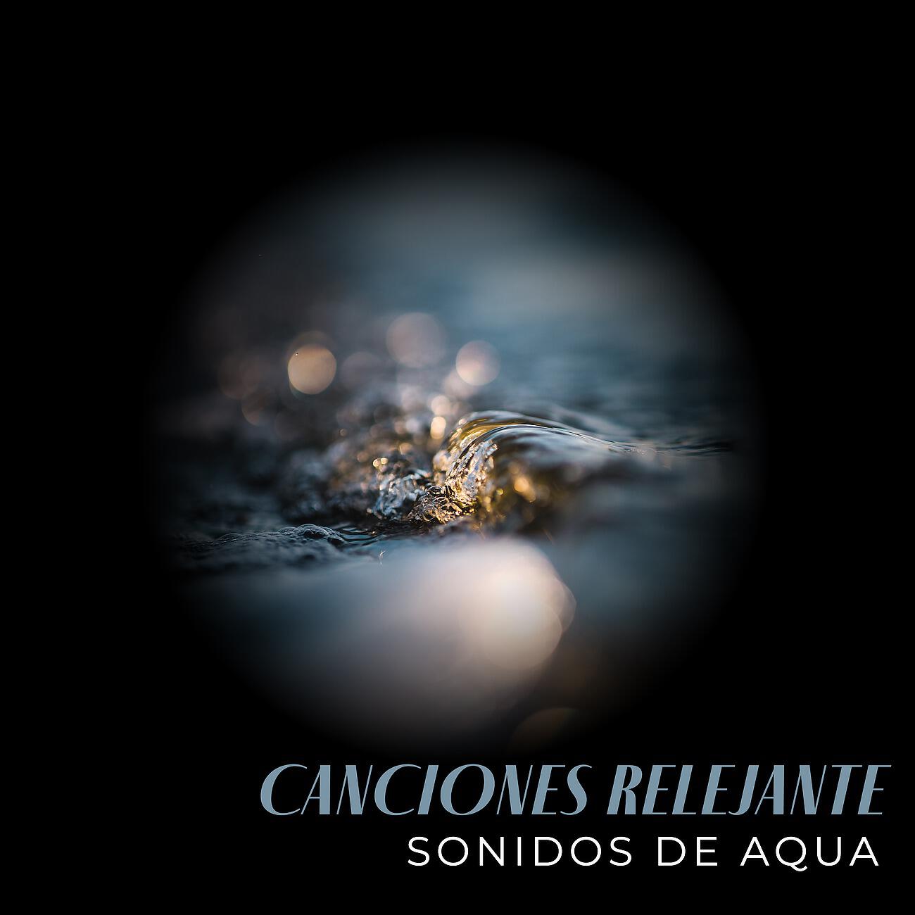 Релиз Canciones Relejante