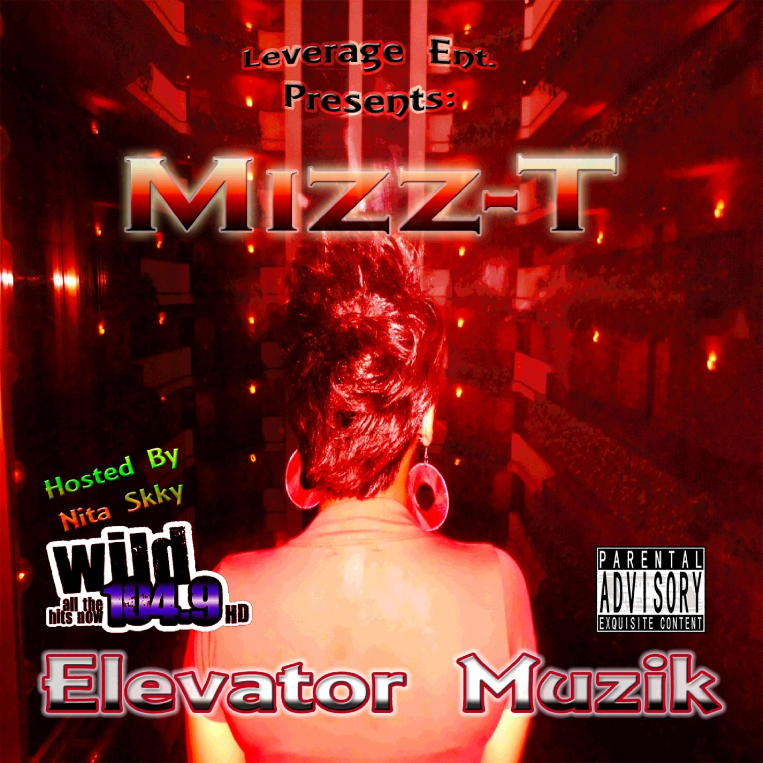Релиз Elevator Muzik