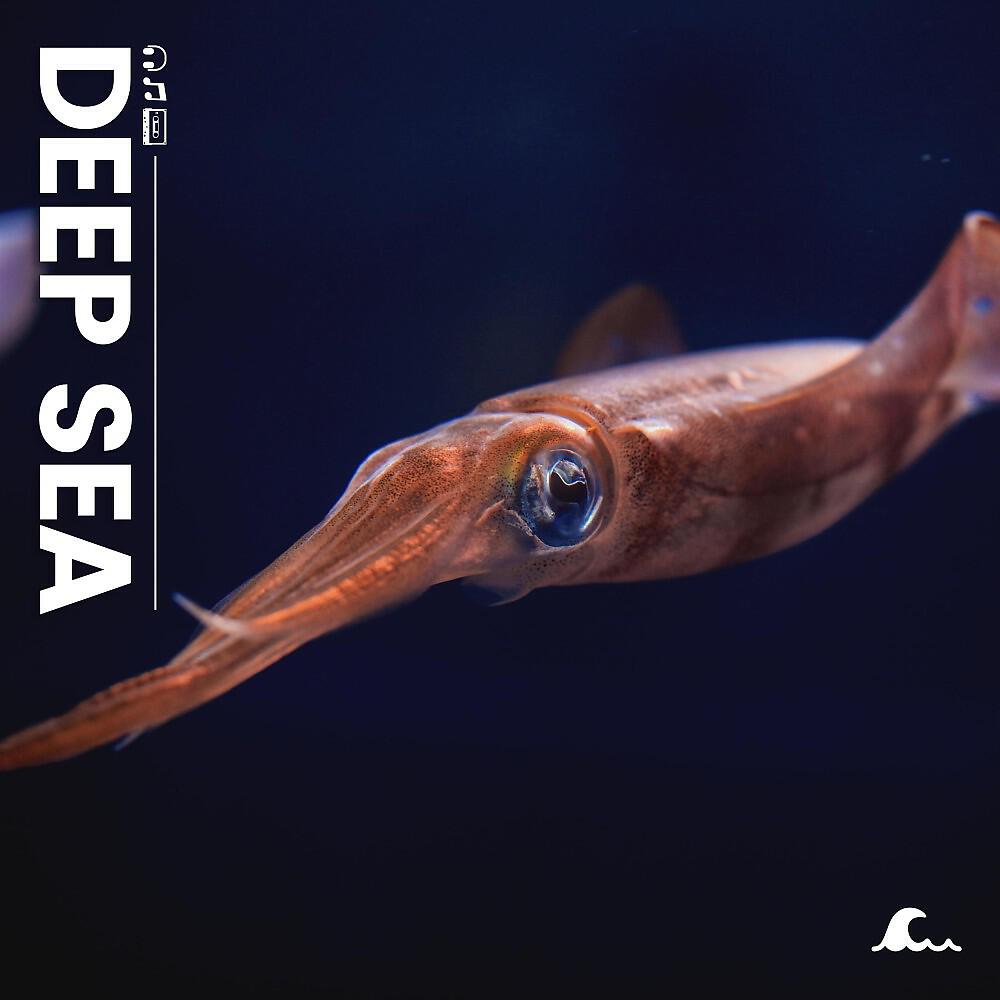 Релиз Deep Sea