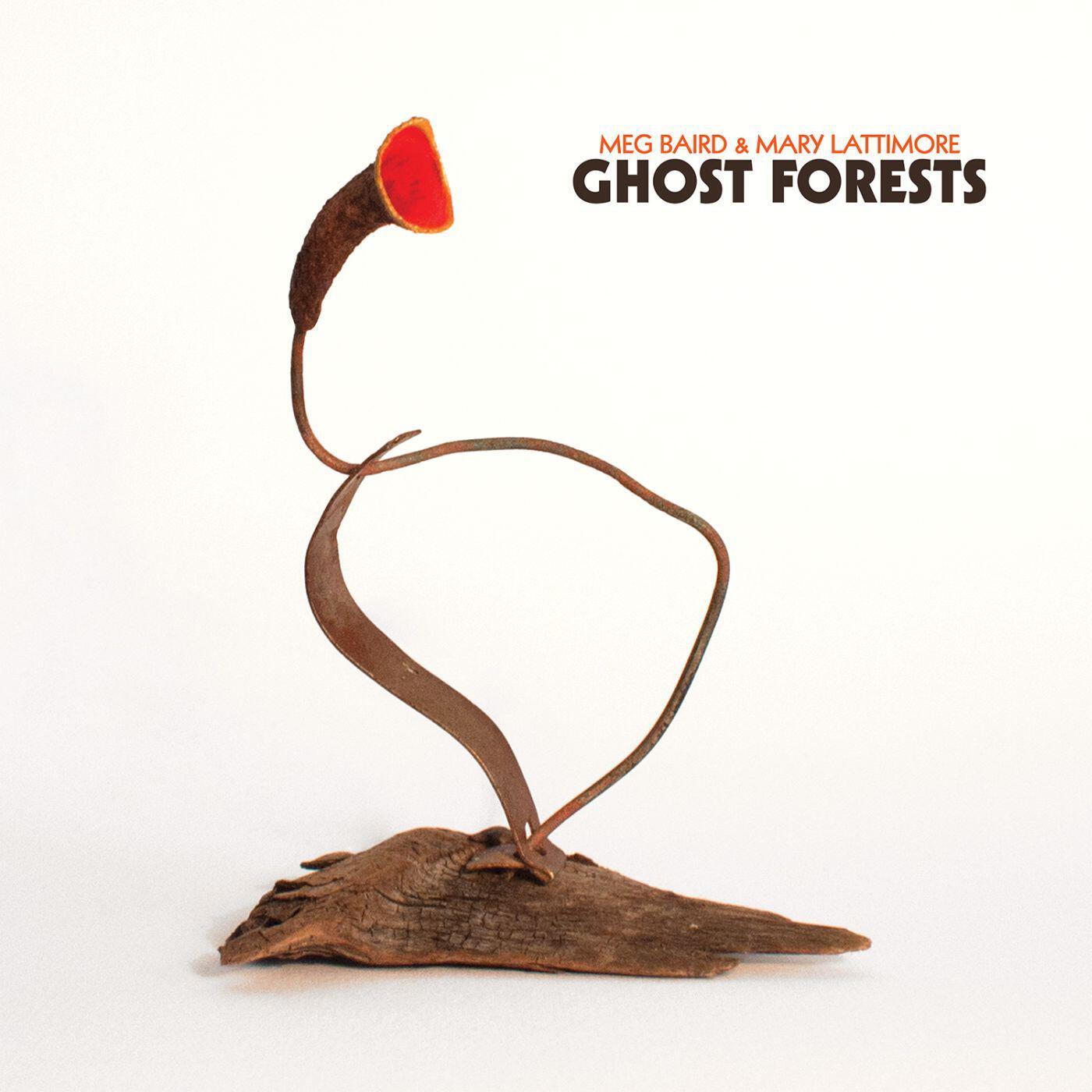 Релиз Ghost Forests