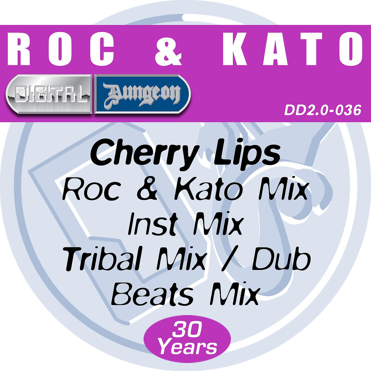 Скачать песню R.O.C. & Kato - Cherry Lips (Roc & Kato Mix) бесплатно в MP3 для Android и iOS