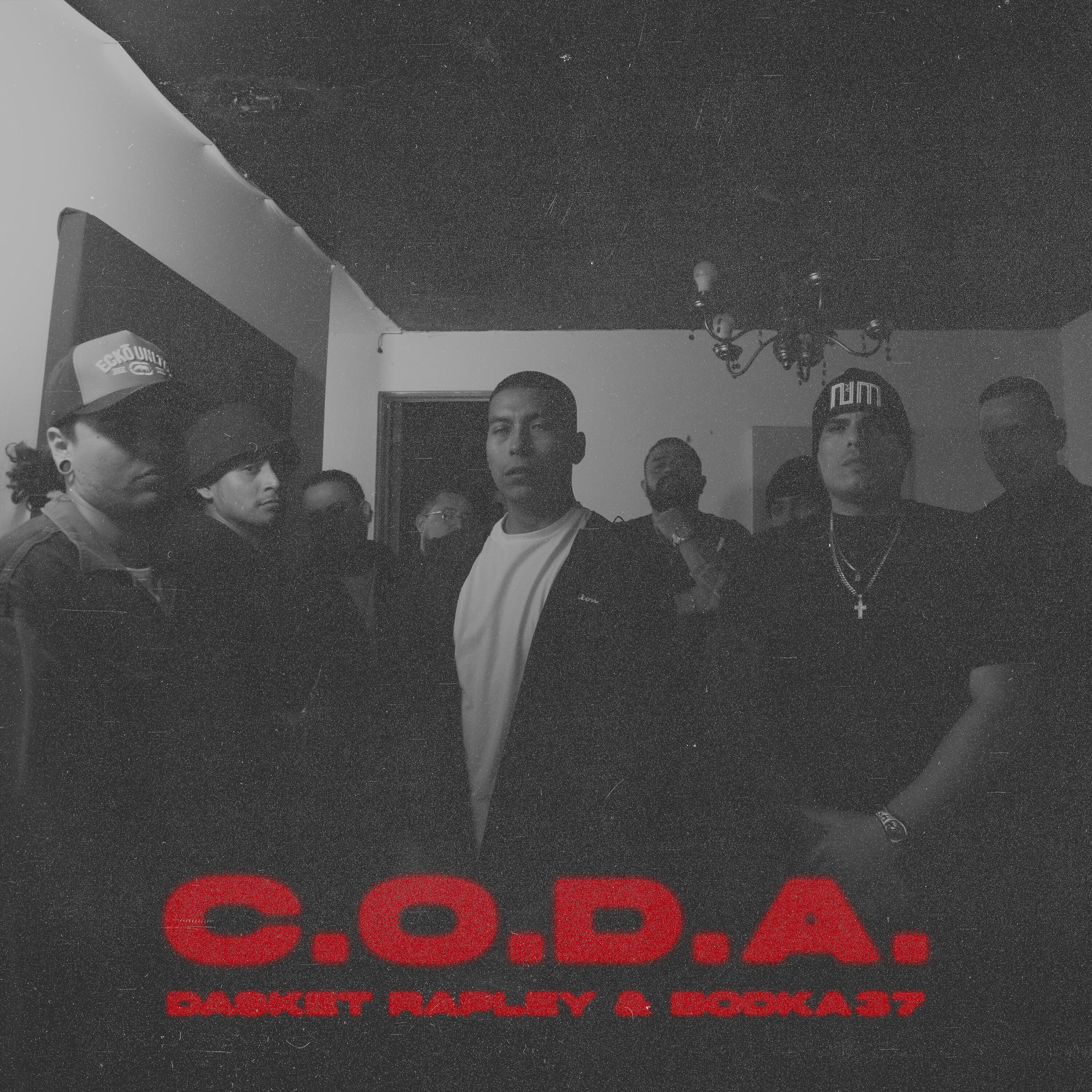 Bodka 37