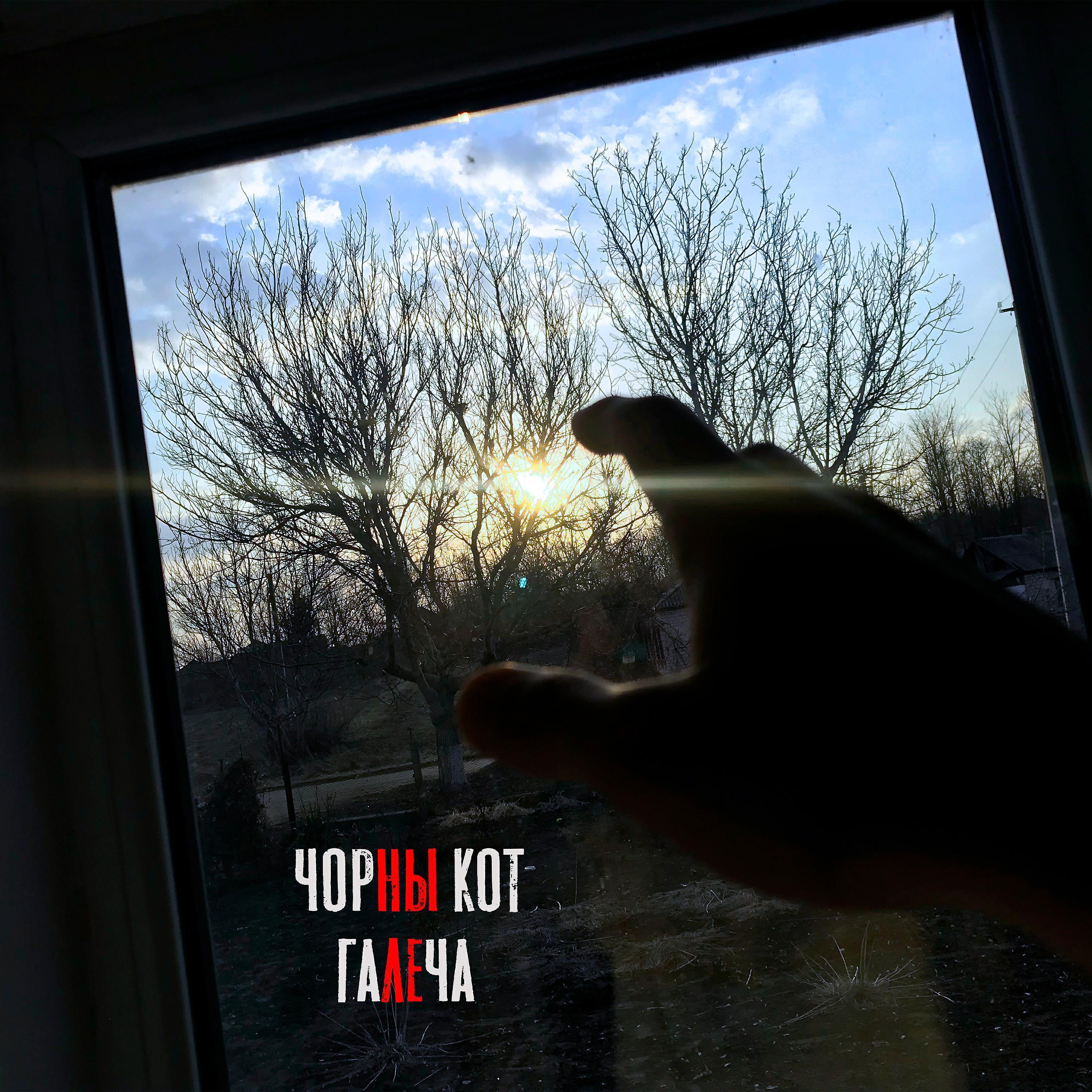 Черный Кот
