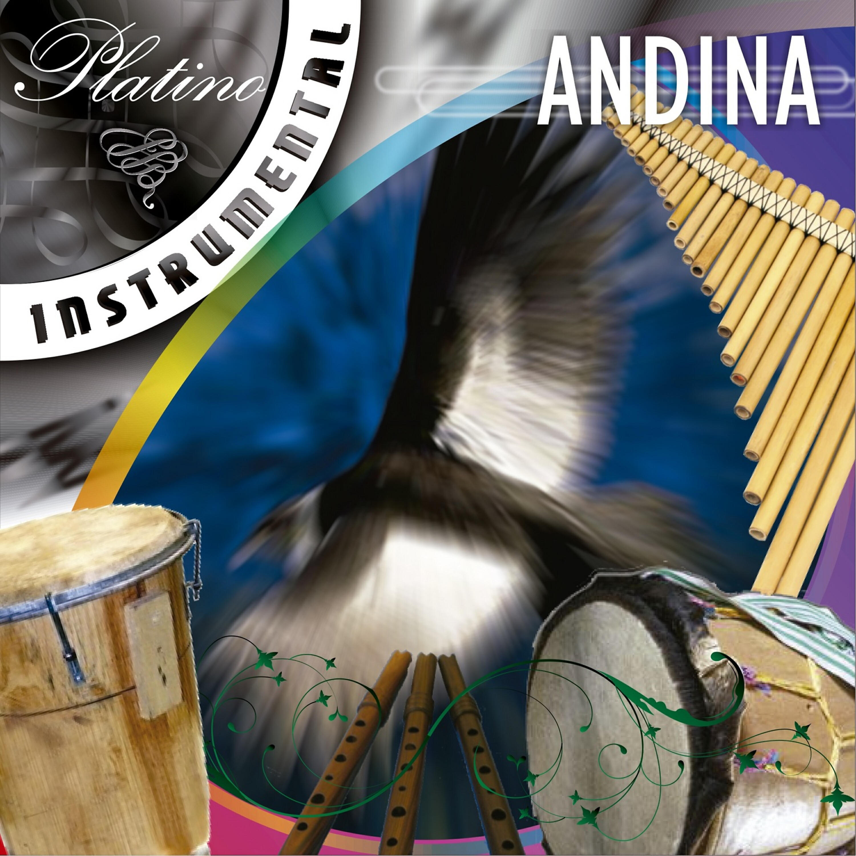 Релиз Platino Instrumental - Andina