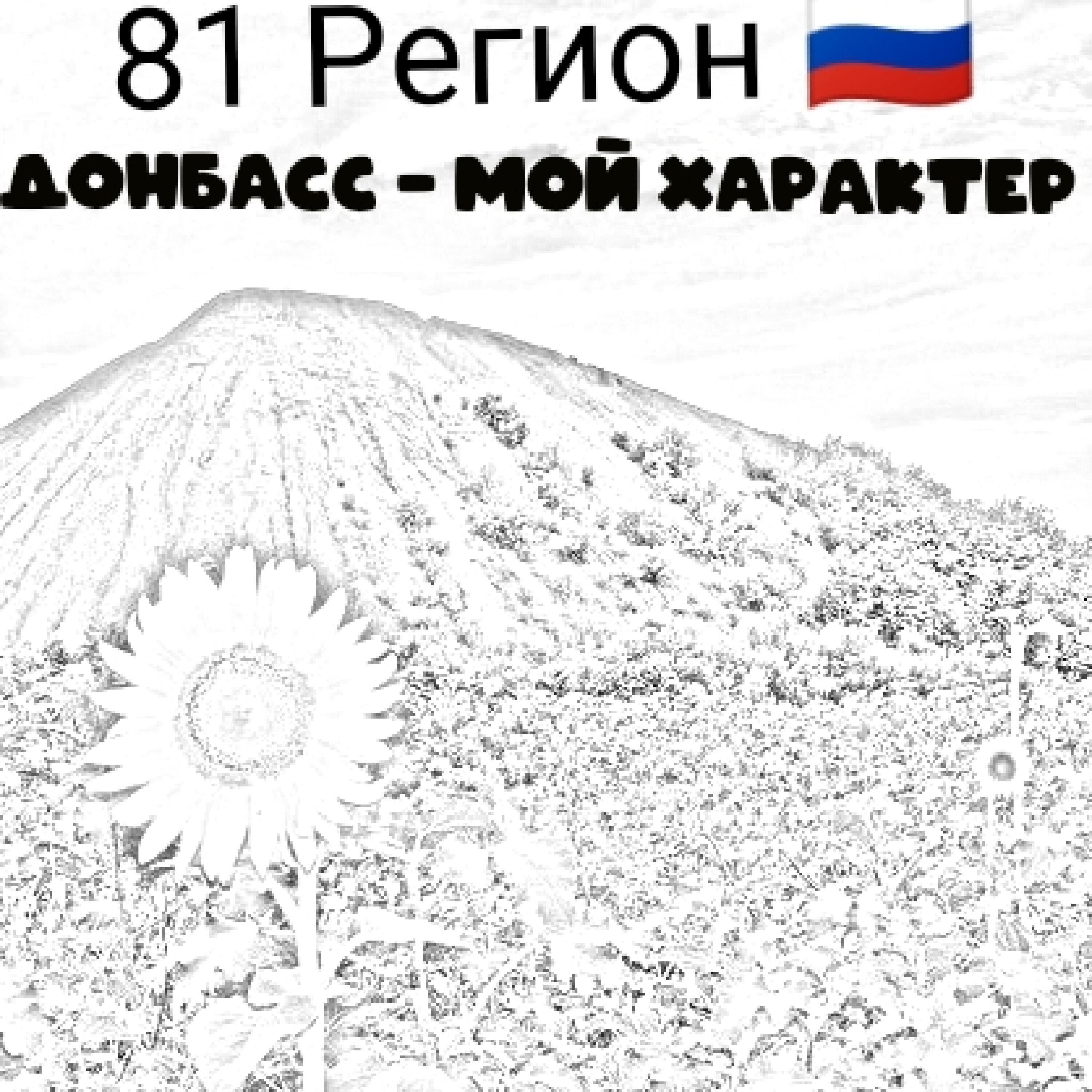 81 Регион