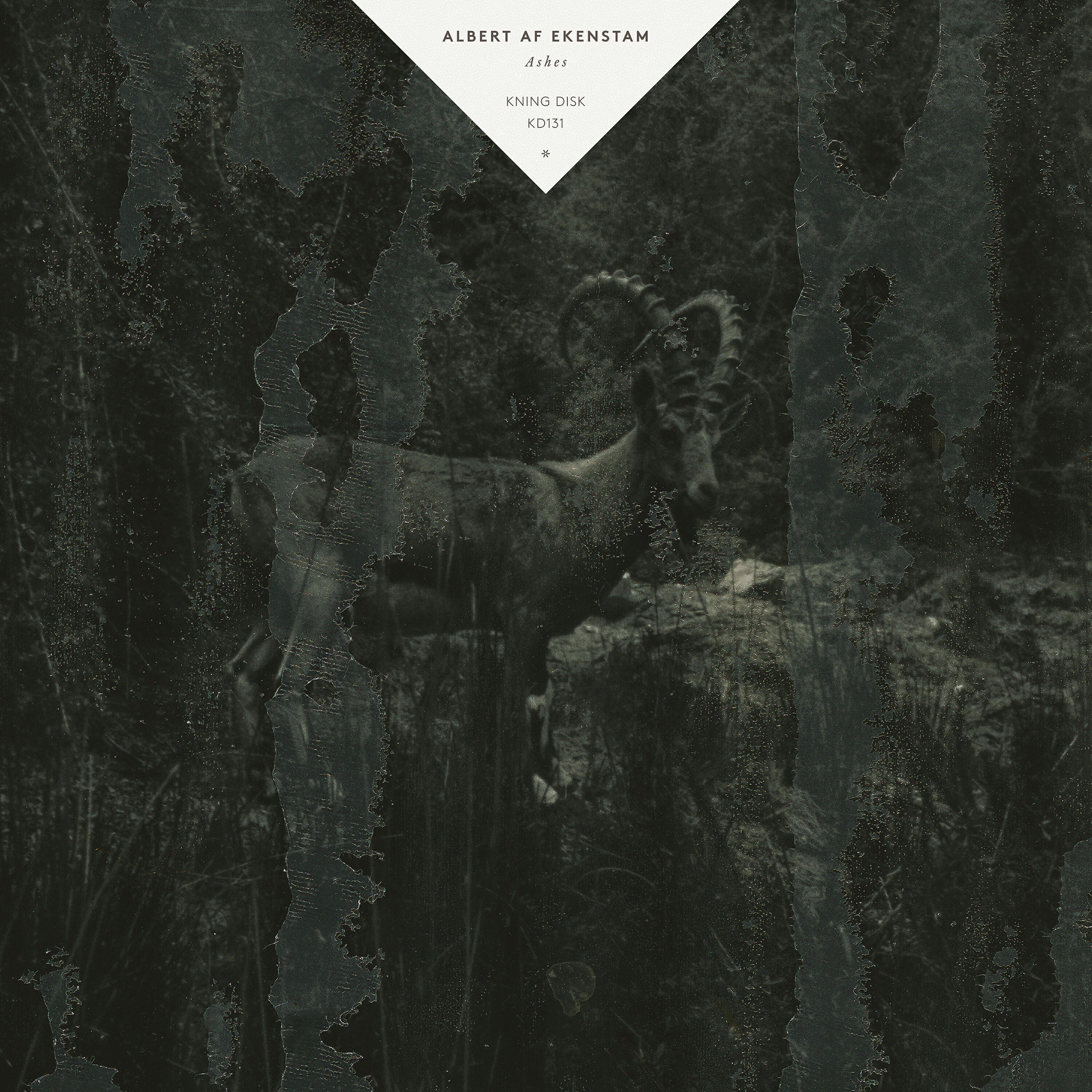 Релиз Ashes