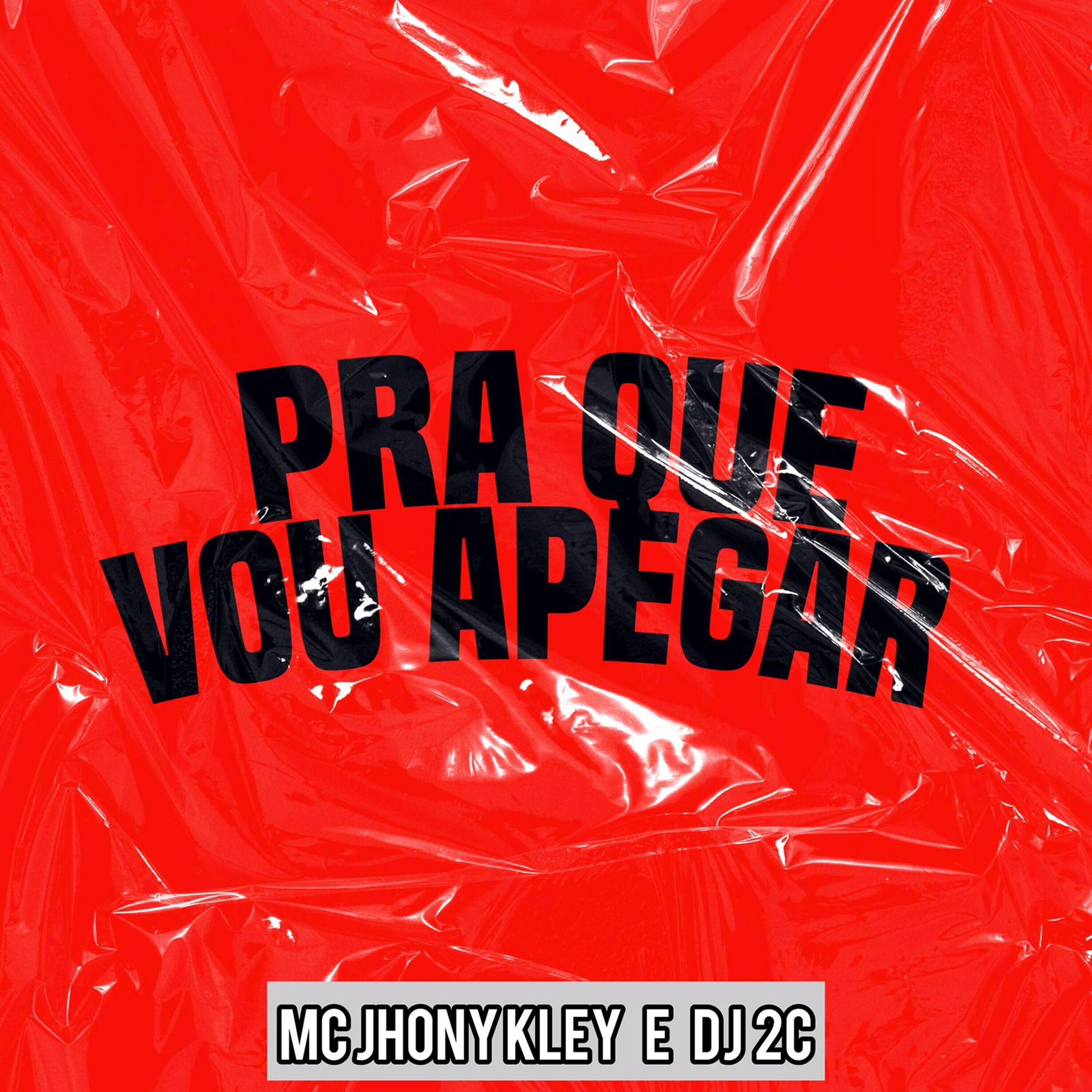 Постер альбома Pra Que Vou Me Apegar