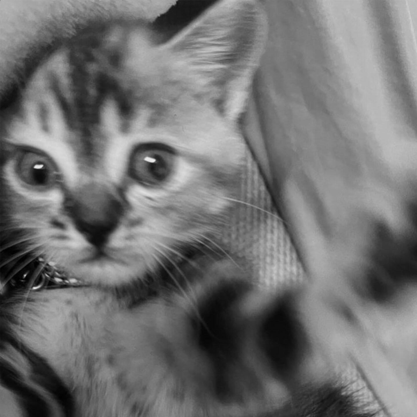 1kG все песни в mp3