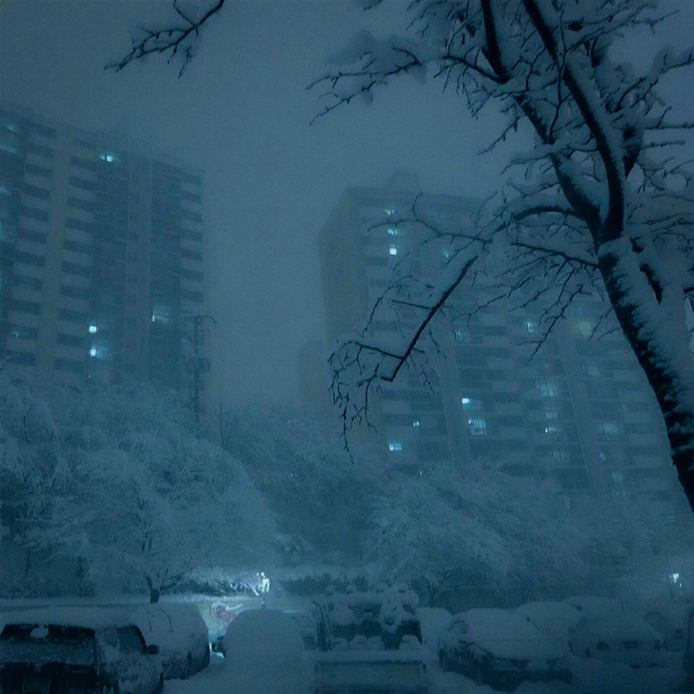 Релиз Blizzard